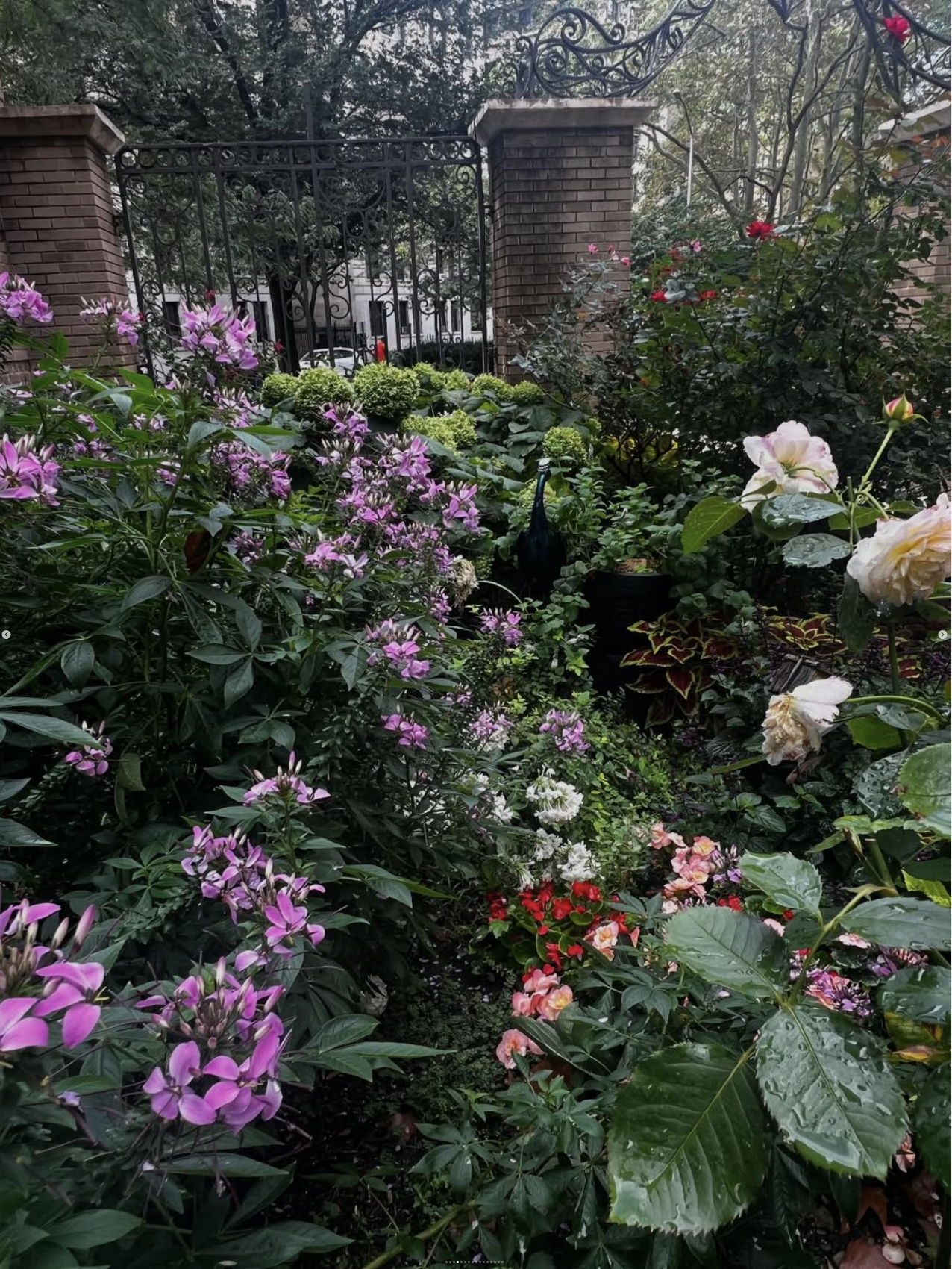 A lush garden with various blooming flowers, including pink, white, and red blossoms, situated near a cast iron gate and brick pillars, surrounded by green foliage.