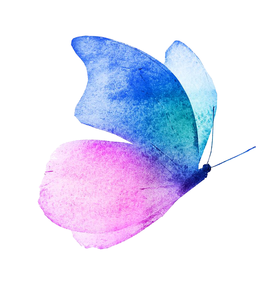A colorful butterfly with blue, turquoise, and pink wings standing on a multicolored digital background.