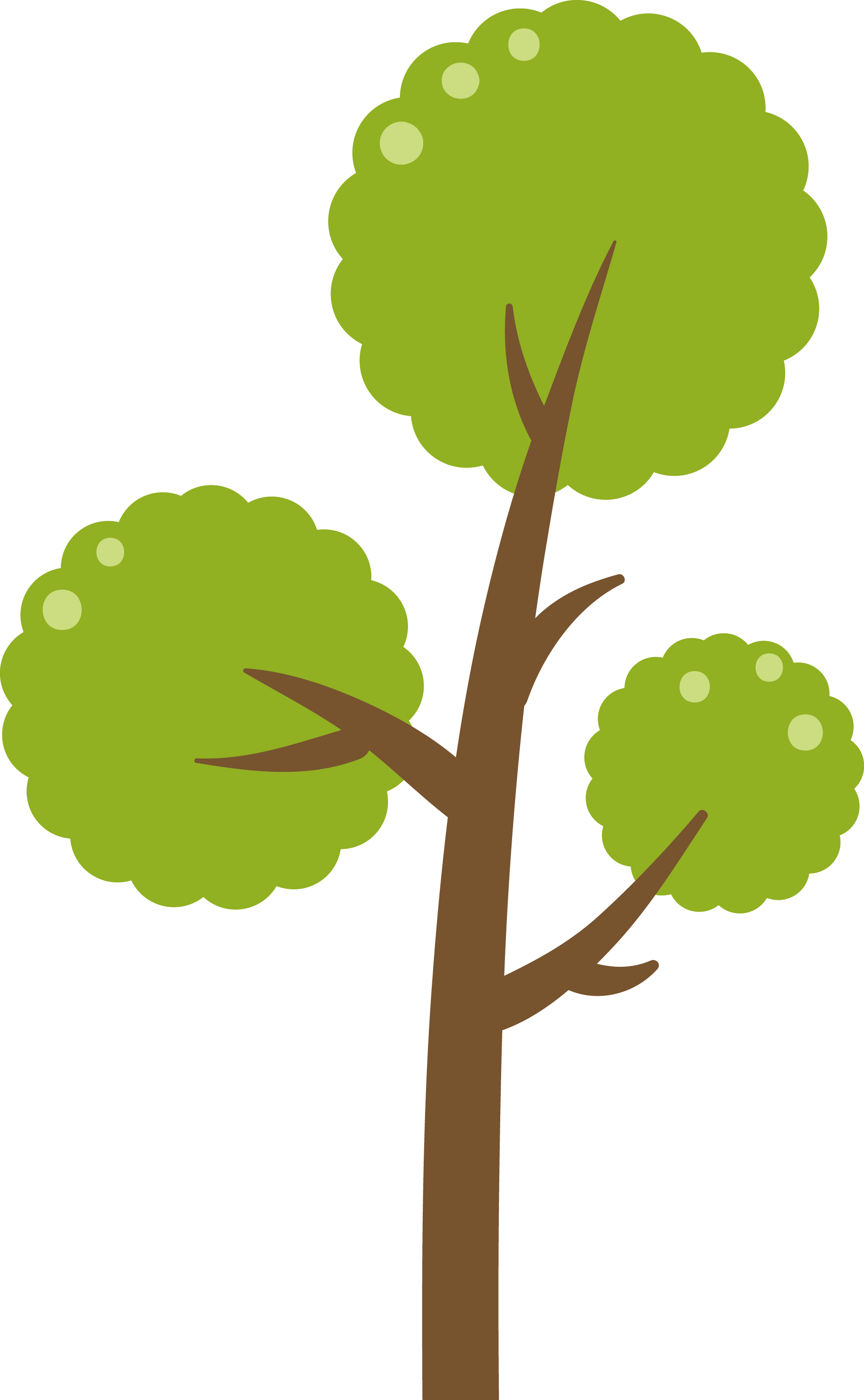 Simplified illustration of a tree with a brown trunk and green, rounded foliage.