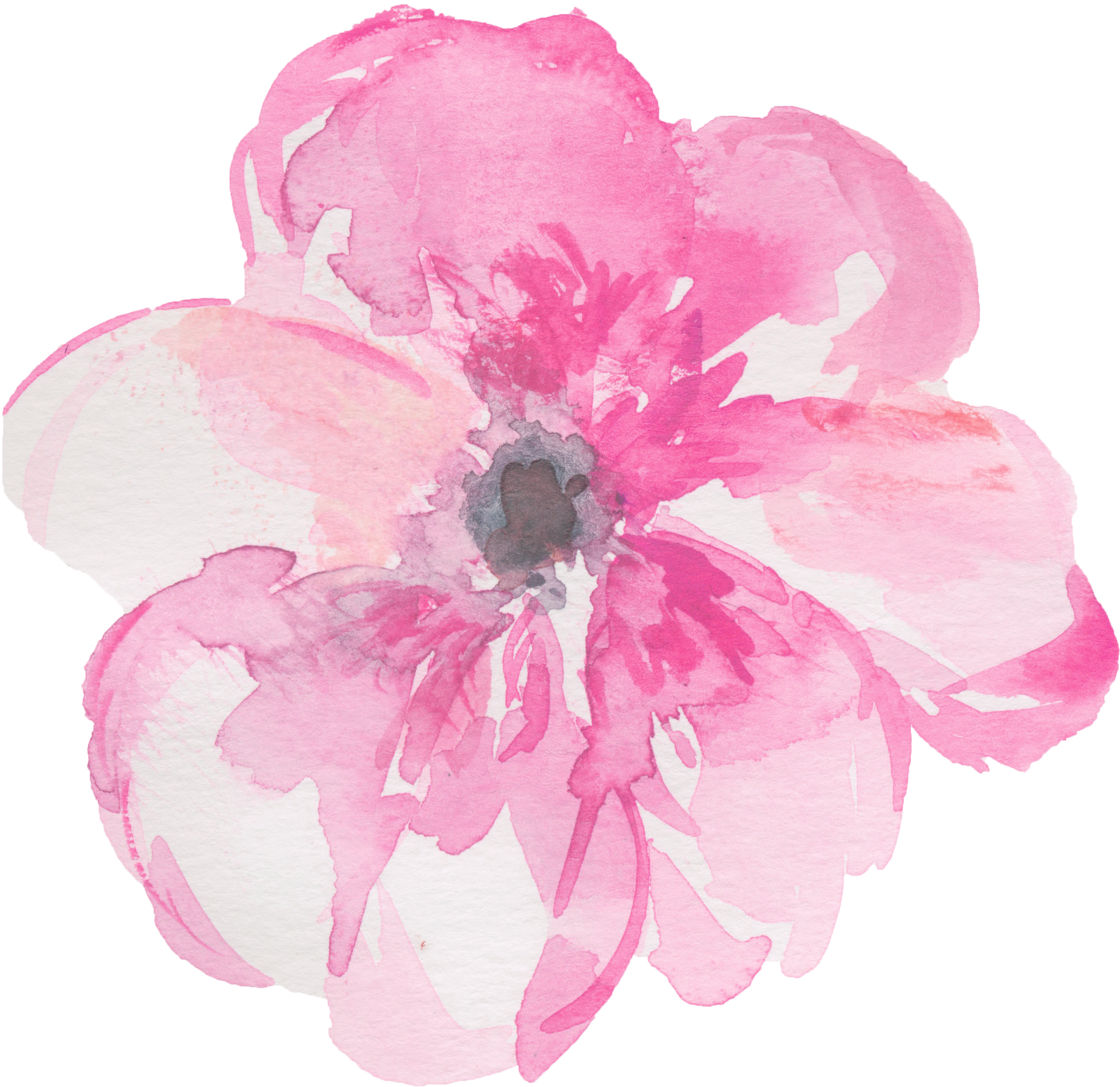 Pink watercolor illustration of a mushroom with a round cap and a short thick stem.
