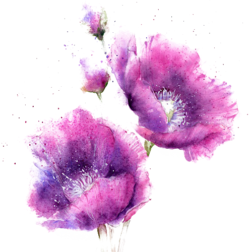Watercolor painting of purple and pink flowers with buds.