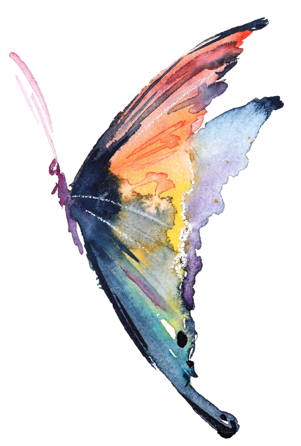 Watercolor painting of a butterfly with orange, yellow, purple, and blue wings against a plain background.