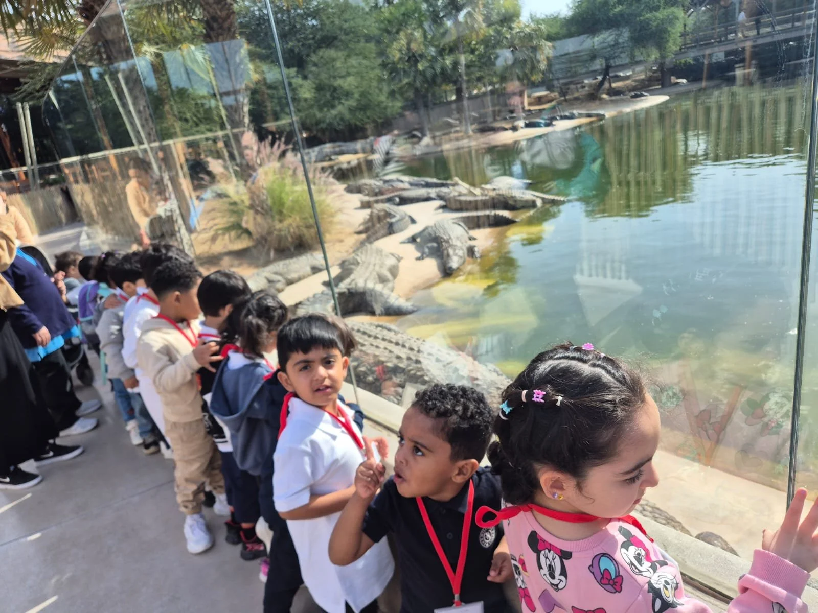 Kids standing in front of a glass enclosure at a zoo, looking at crocodiles in the water.
