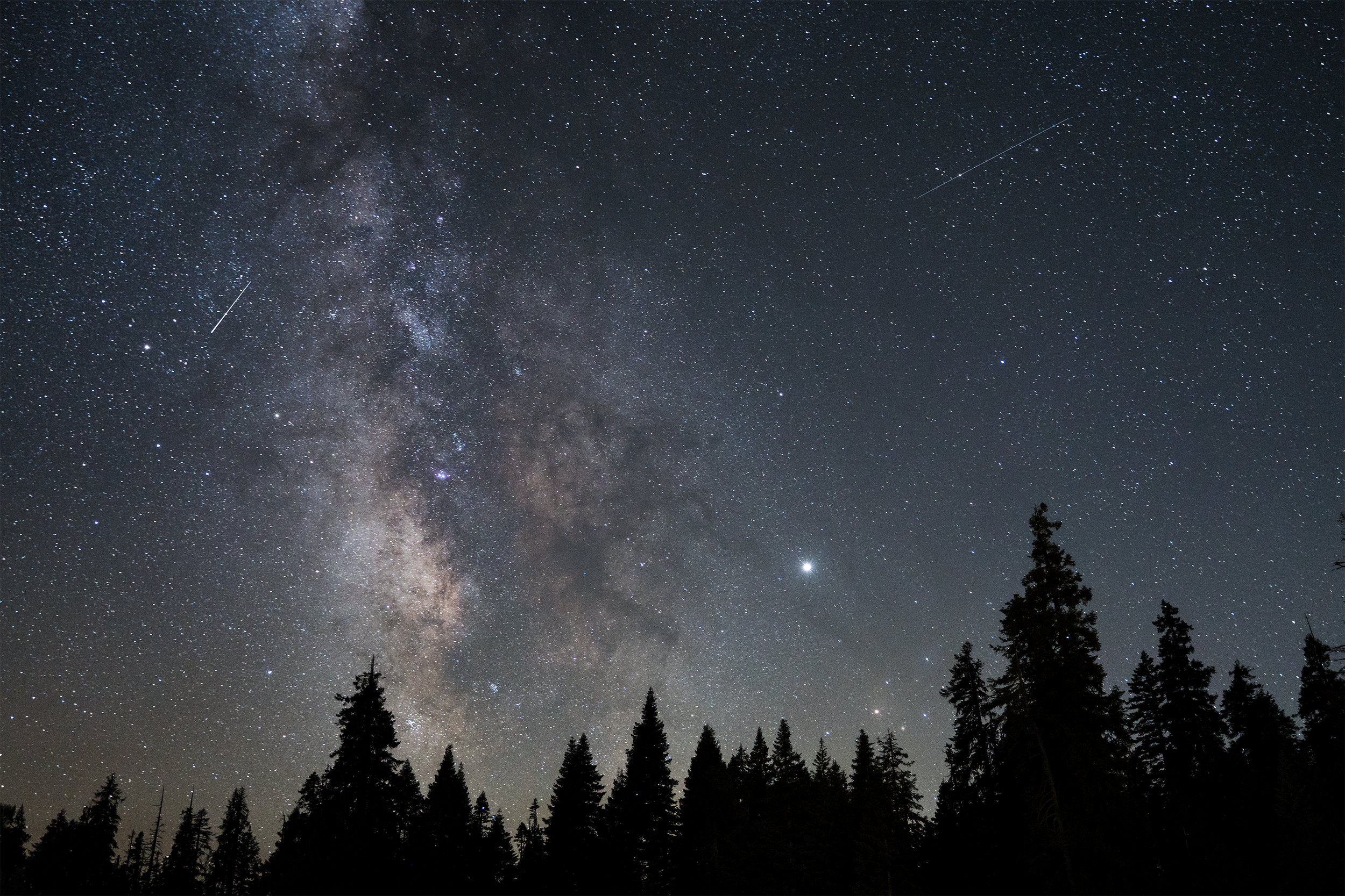 DSC08352-Sequoia Stars.png