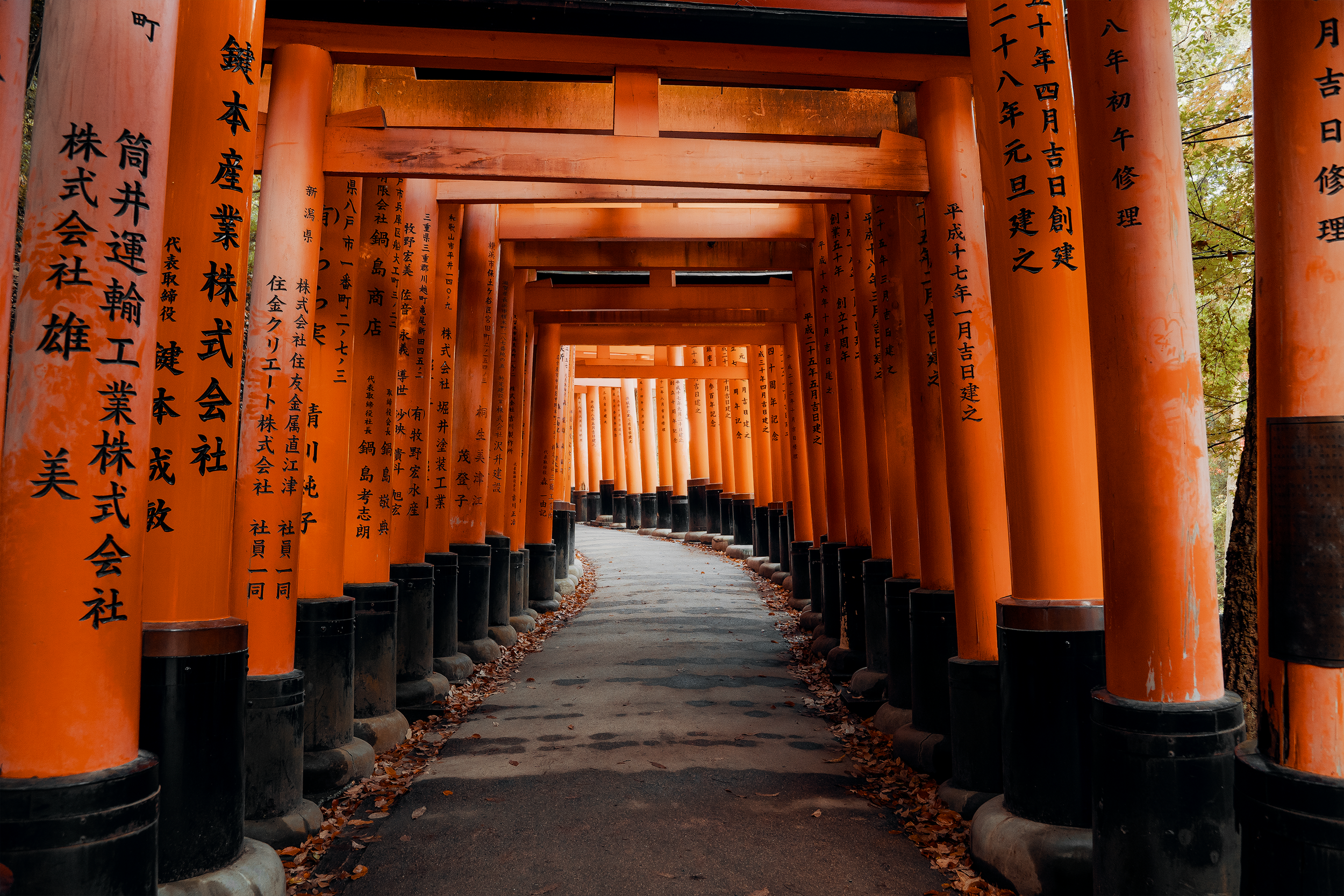 Fushimi Inari.png