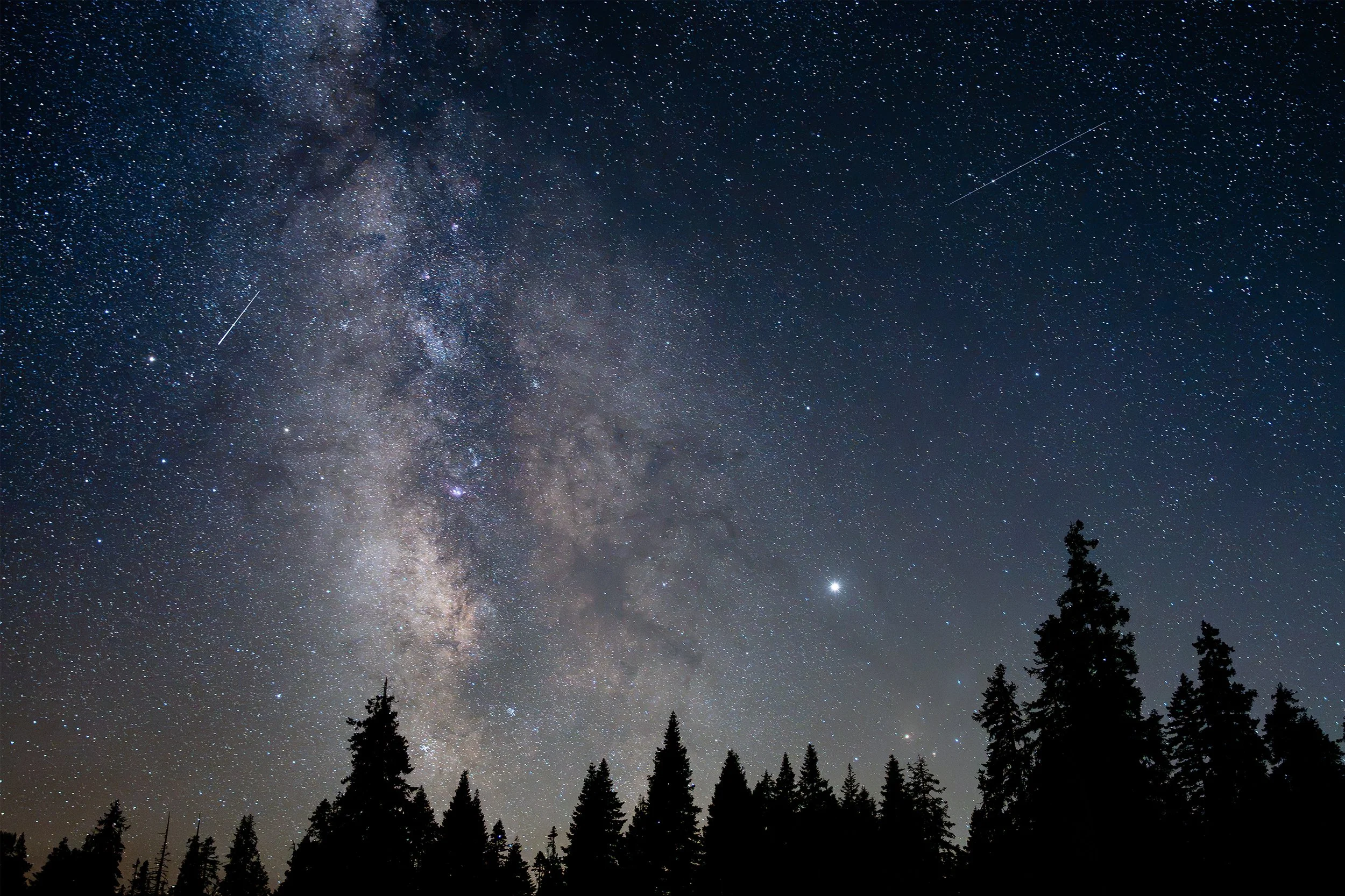 Sequoia_stars2.jpg