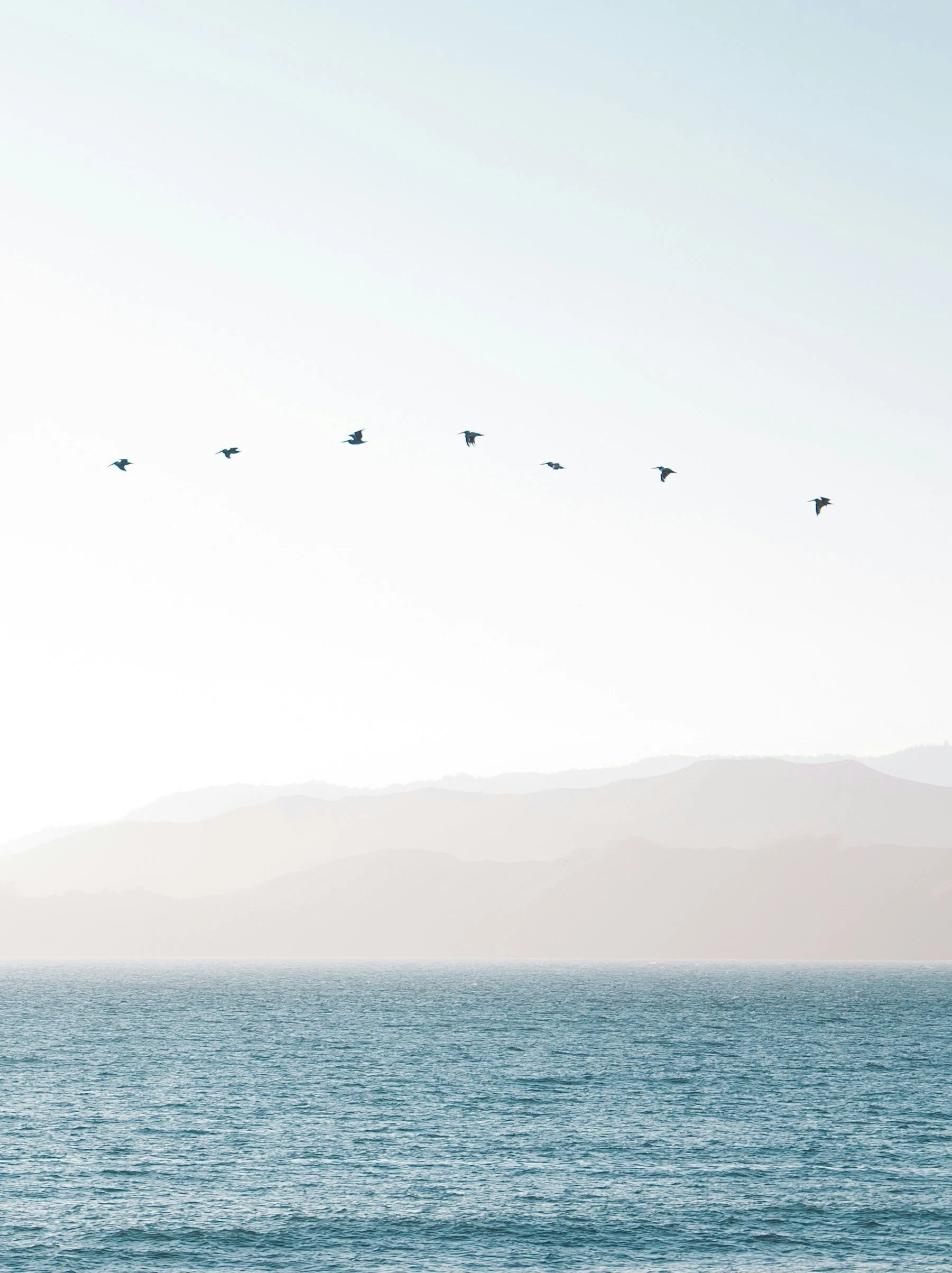 A flock of seven birds flying over a body of water with mountains in the background.