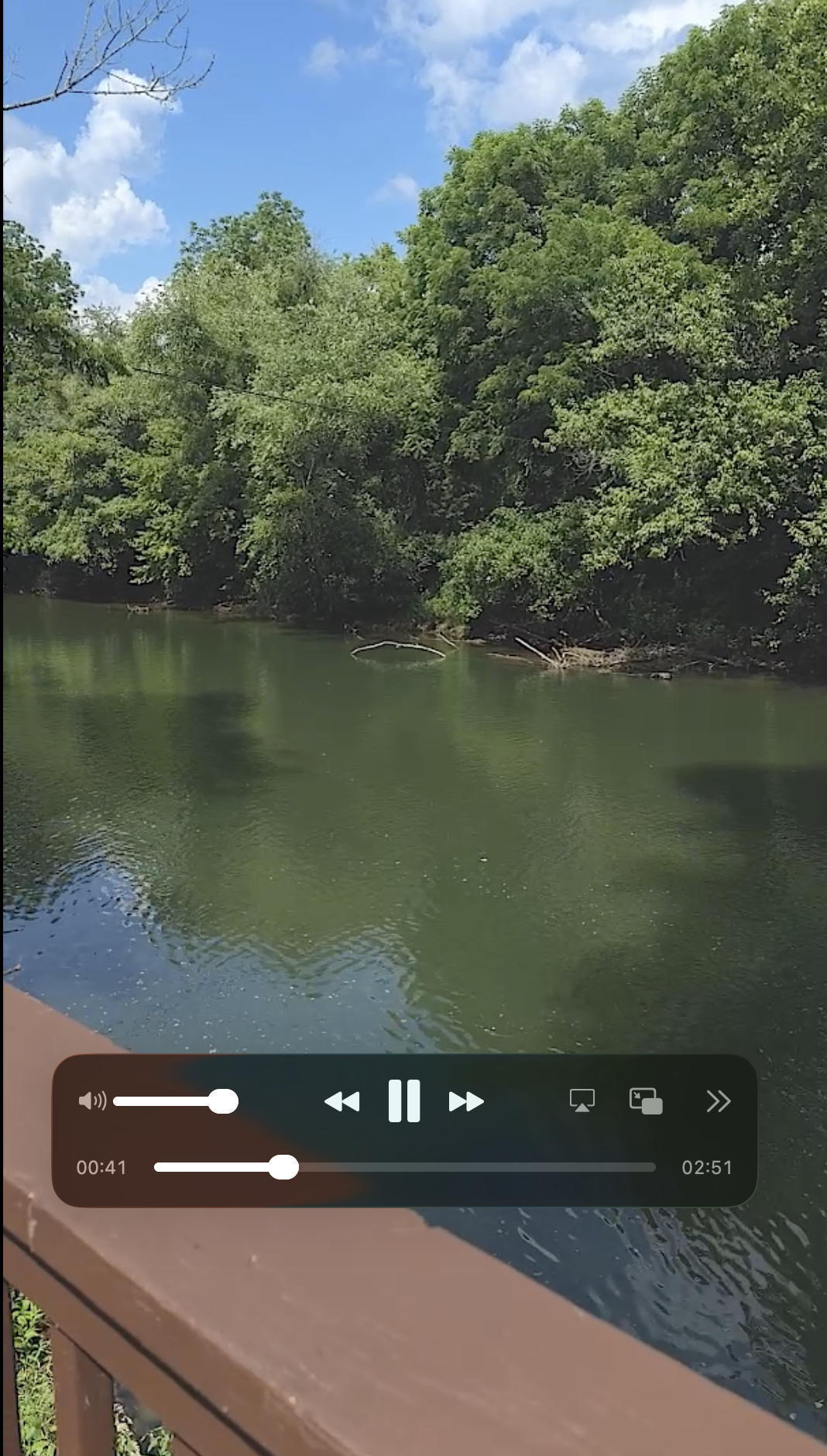 Social Media Reel