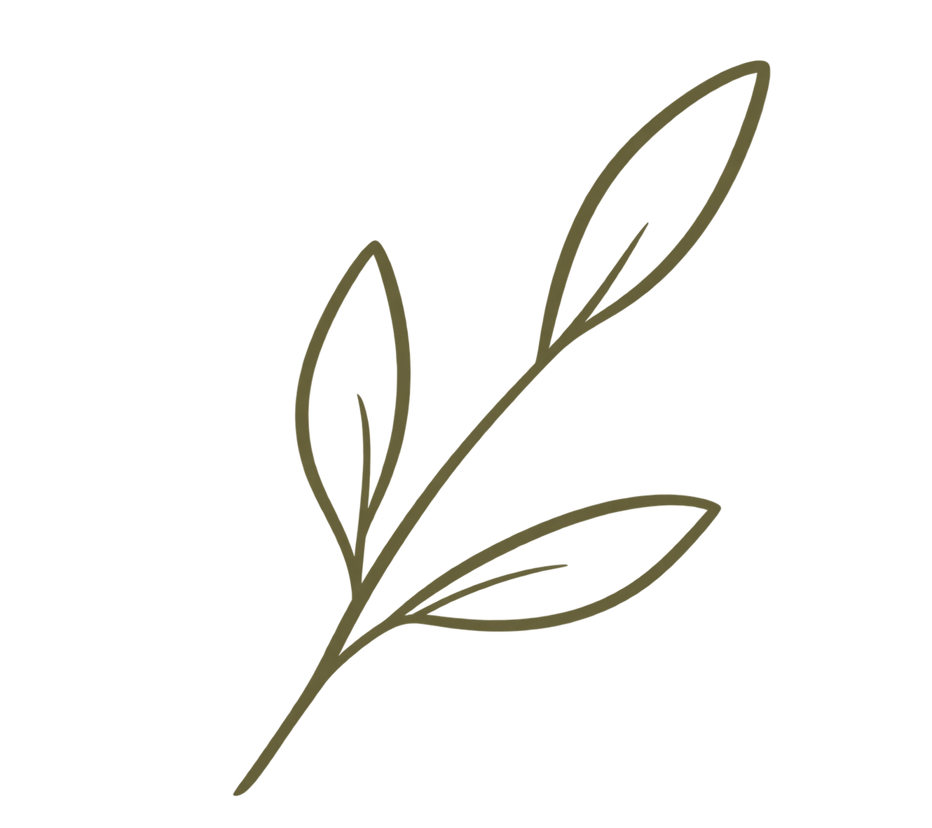 Simple line drawing of a plant with a thin stem, three elongated leaves, and one closed flower bud.