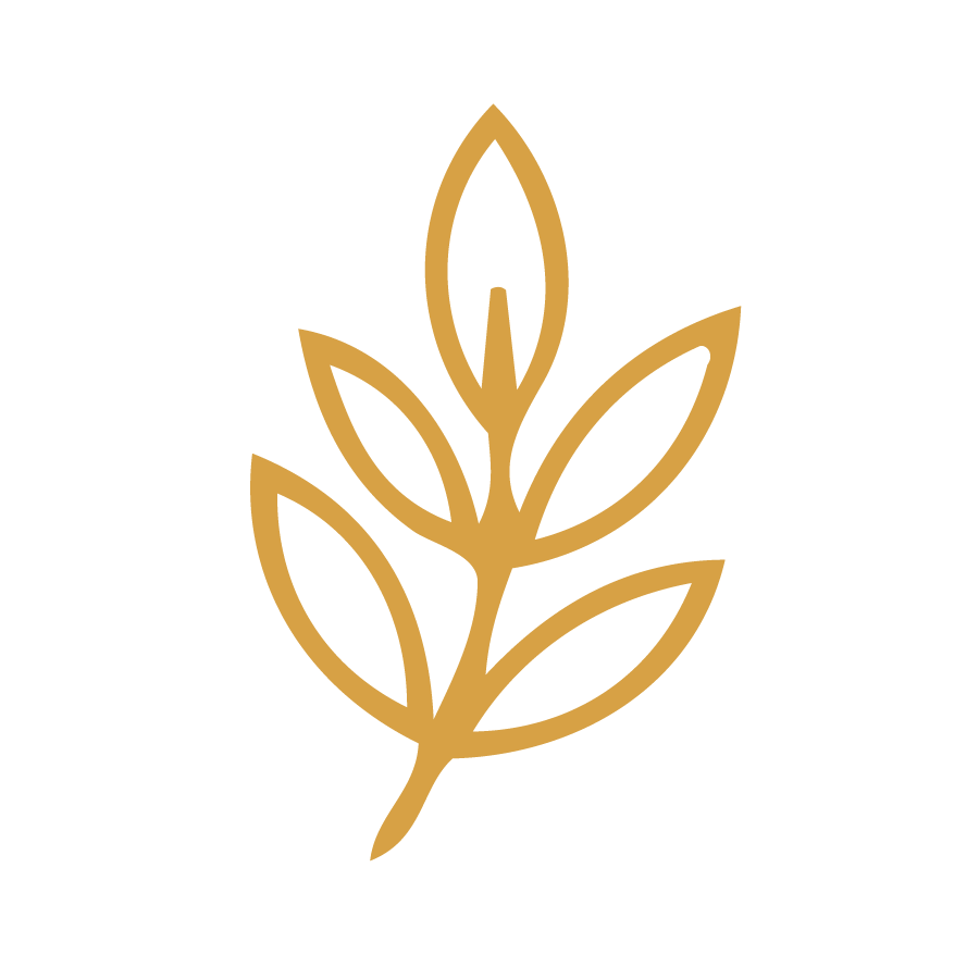 Gold outline of a stylized plant with leaves on a black background.
