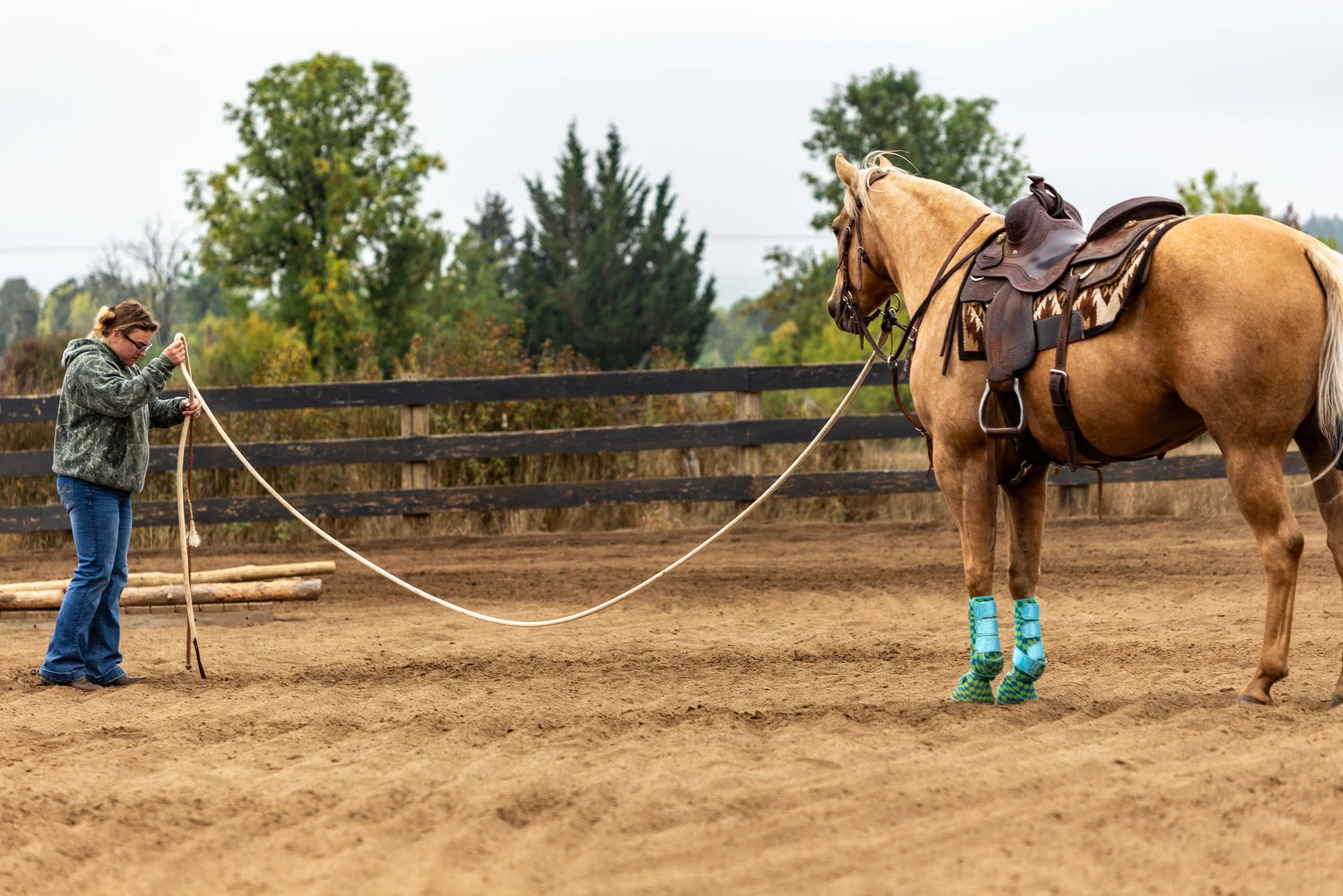Palomino