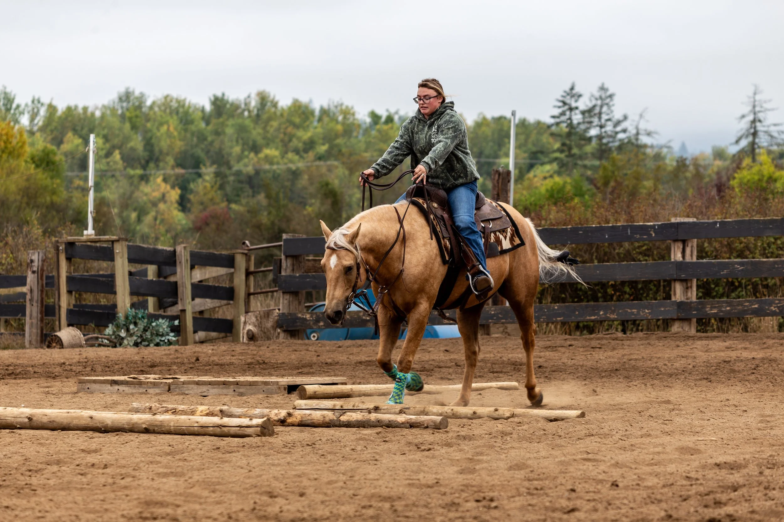 Pretty palomino going over logs