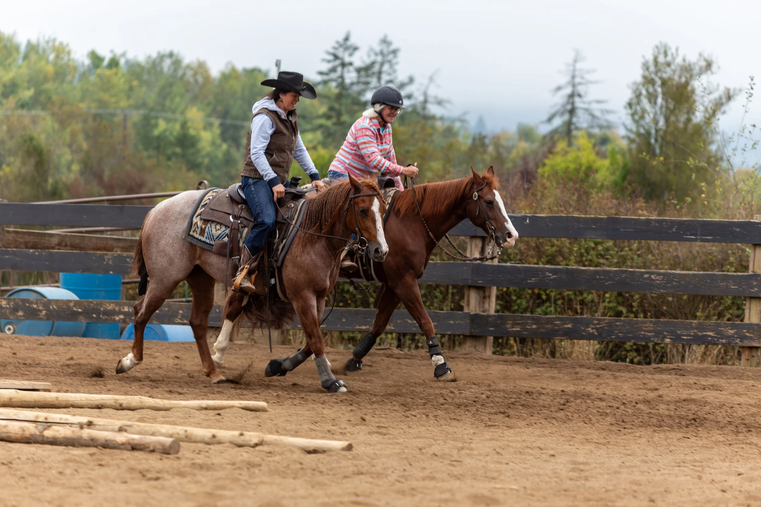 A little trot race