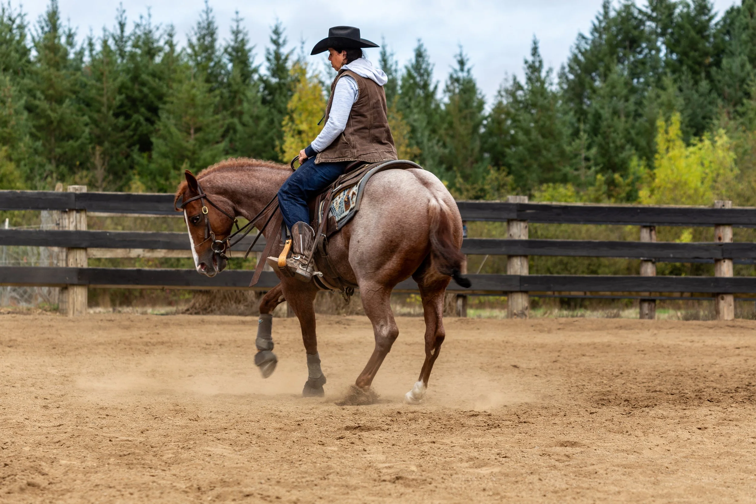 Cowhorse