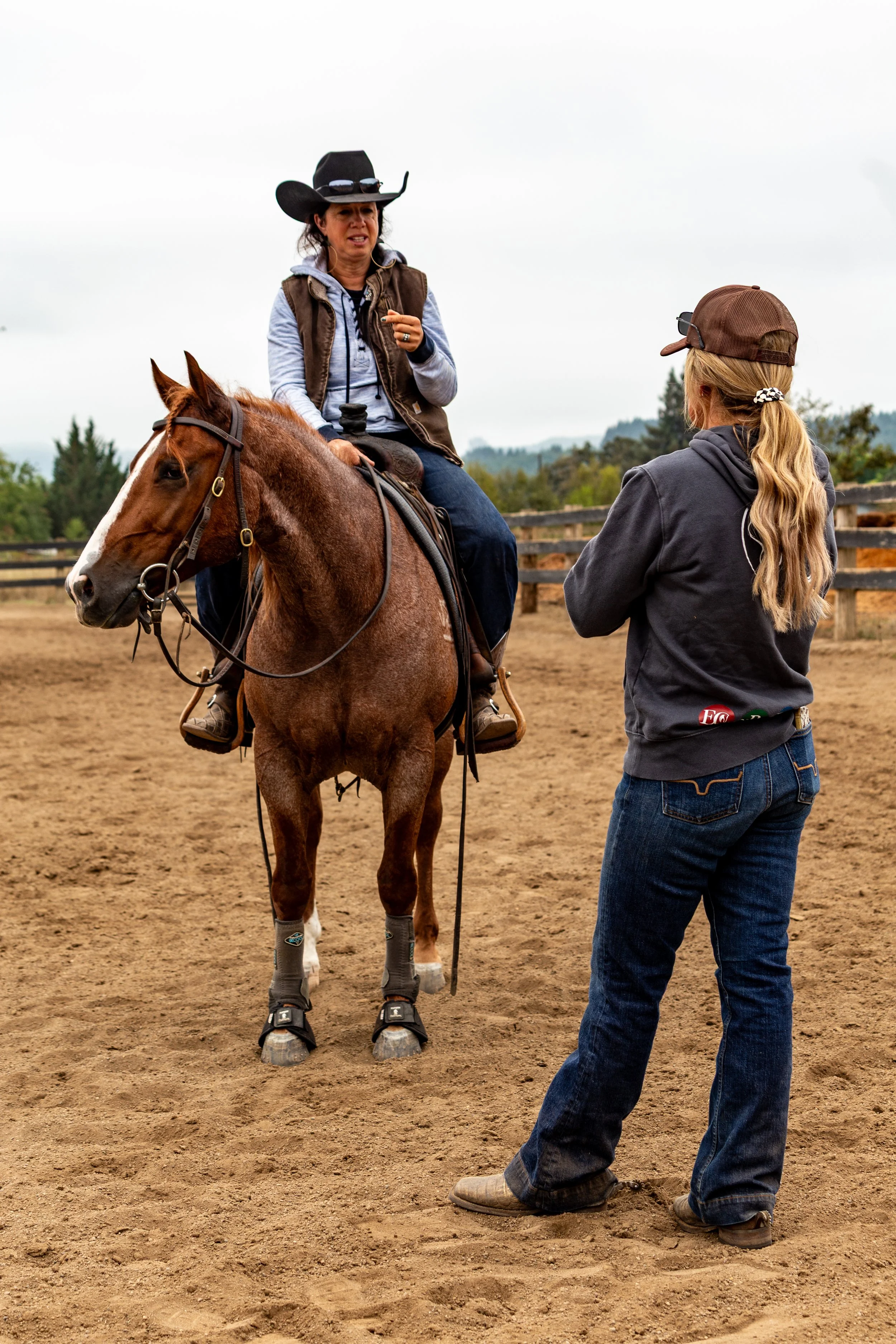 OMG I love this horse