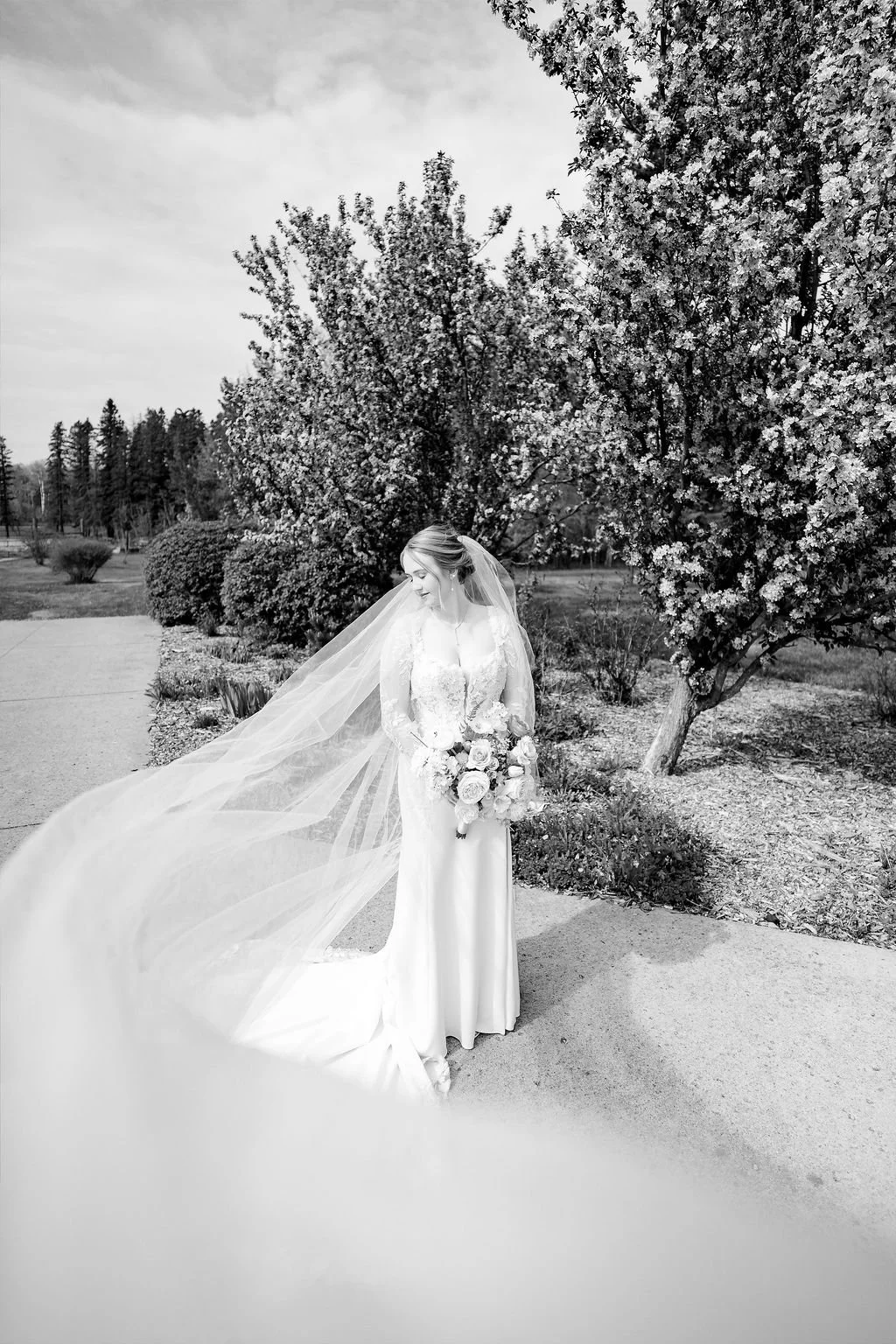 international-peace-gardens-wedding-international-peace-gardens-wedding-photographer-manitoba-wedding-photographer-garden-wedding-spring-wedding-photography