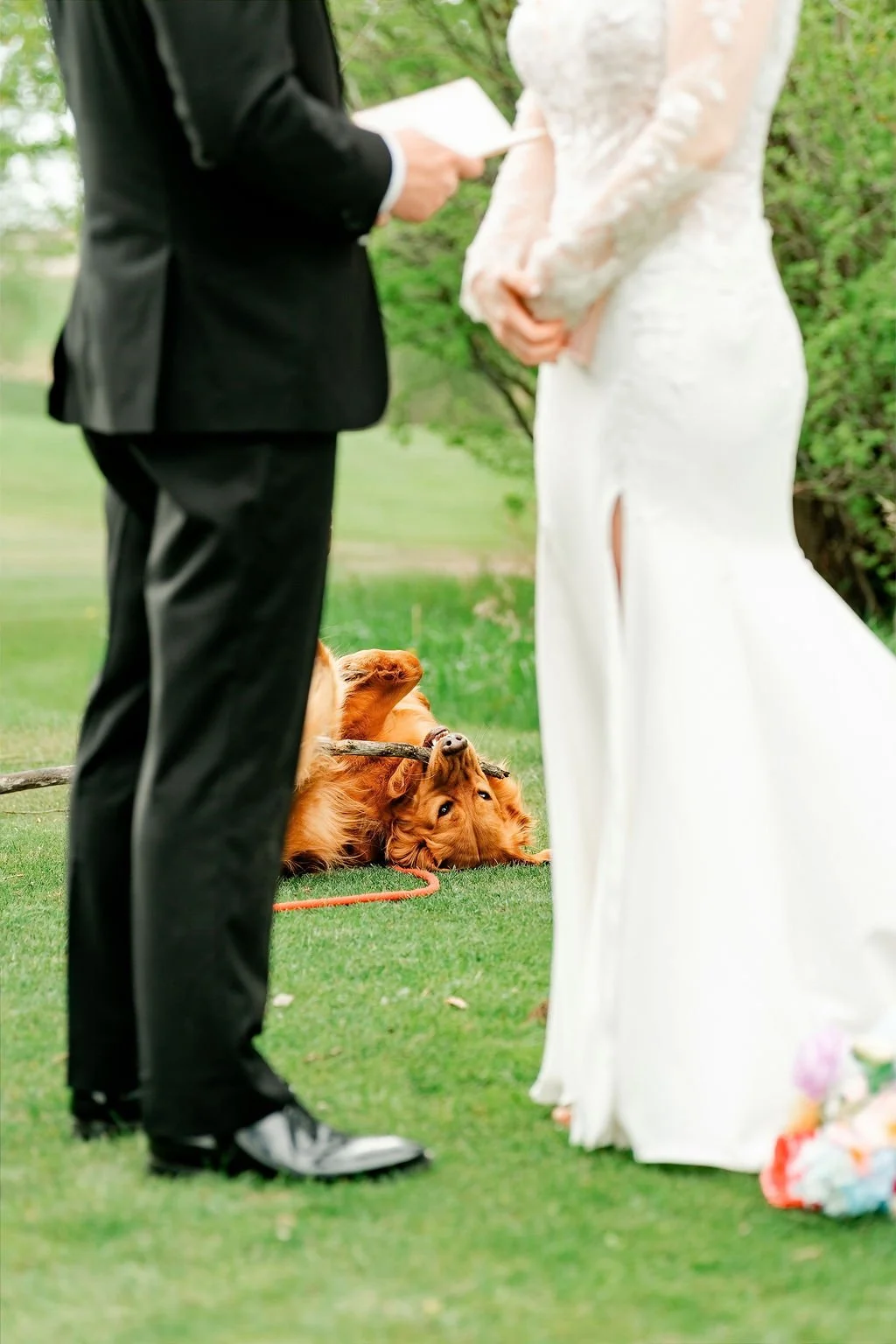 international-peace-gardens-wedding-international-peace-gardens-wedding-photographer-manitoba-wedding-photographer-garden-wedding-spring-wedding-photography