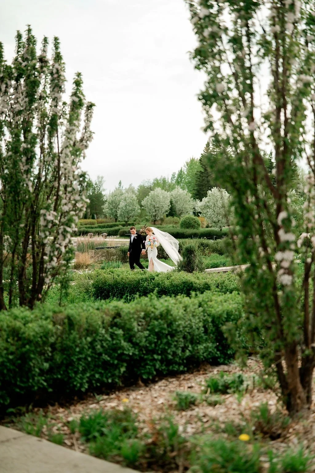 international-peace-gardens-wedding-international-peace-gardens-wedding-photographer-manitoba-wedding-photographer-garden-wedding-spring-wedding-photography