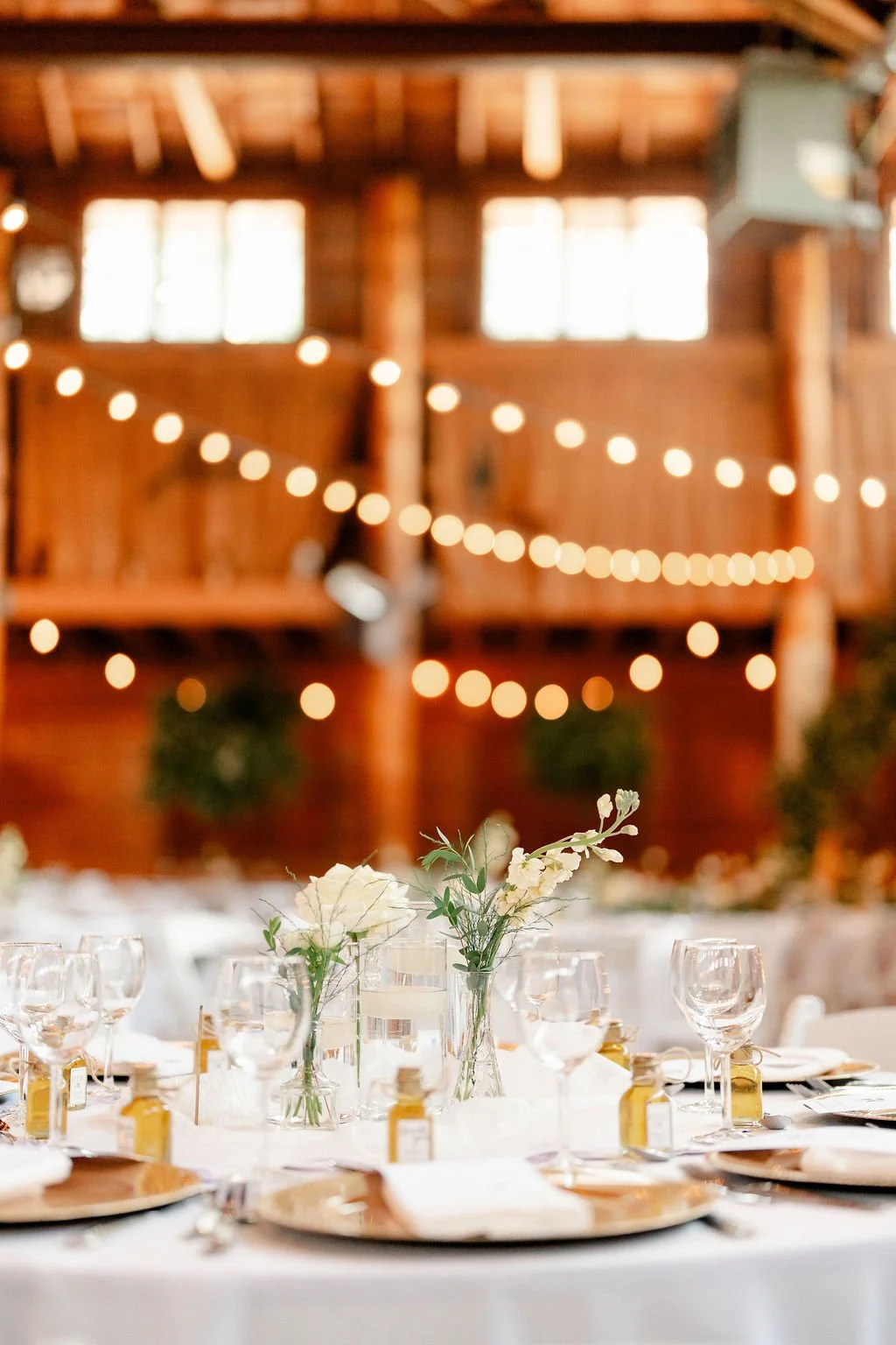 clear-lake-wedding-danceland-wedding-clear-lake-wedding-photographer-manitoba-wedding-photographer-filmed-by-silas-weddings-june-wedding-lakeside-wedding