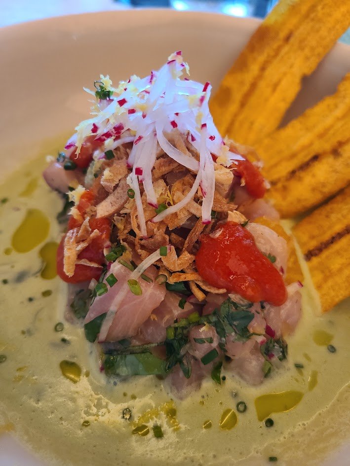 Close-up of a dish with raw fish, topped with chopped onions, herbs, crispy fried onions, and a red sauce, served with two yellow plantain chips.