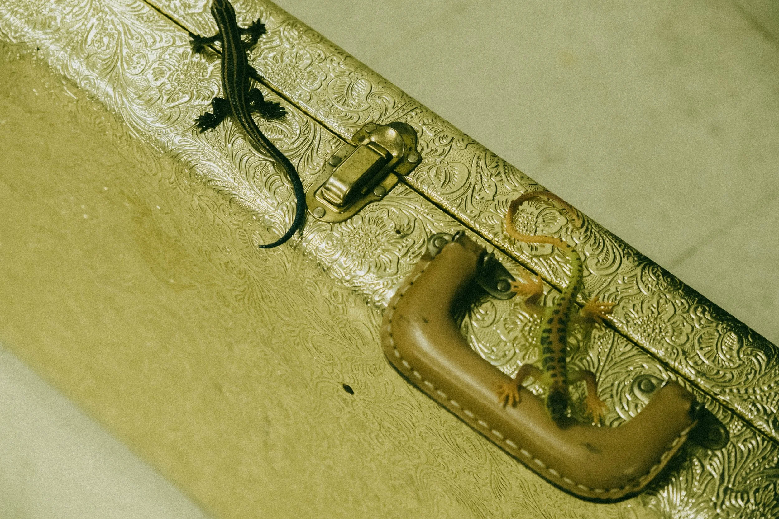 DSCF2399.jpg