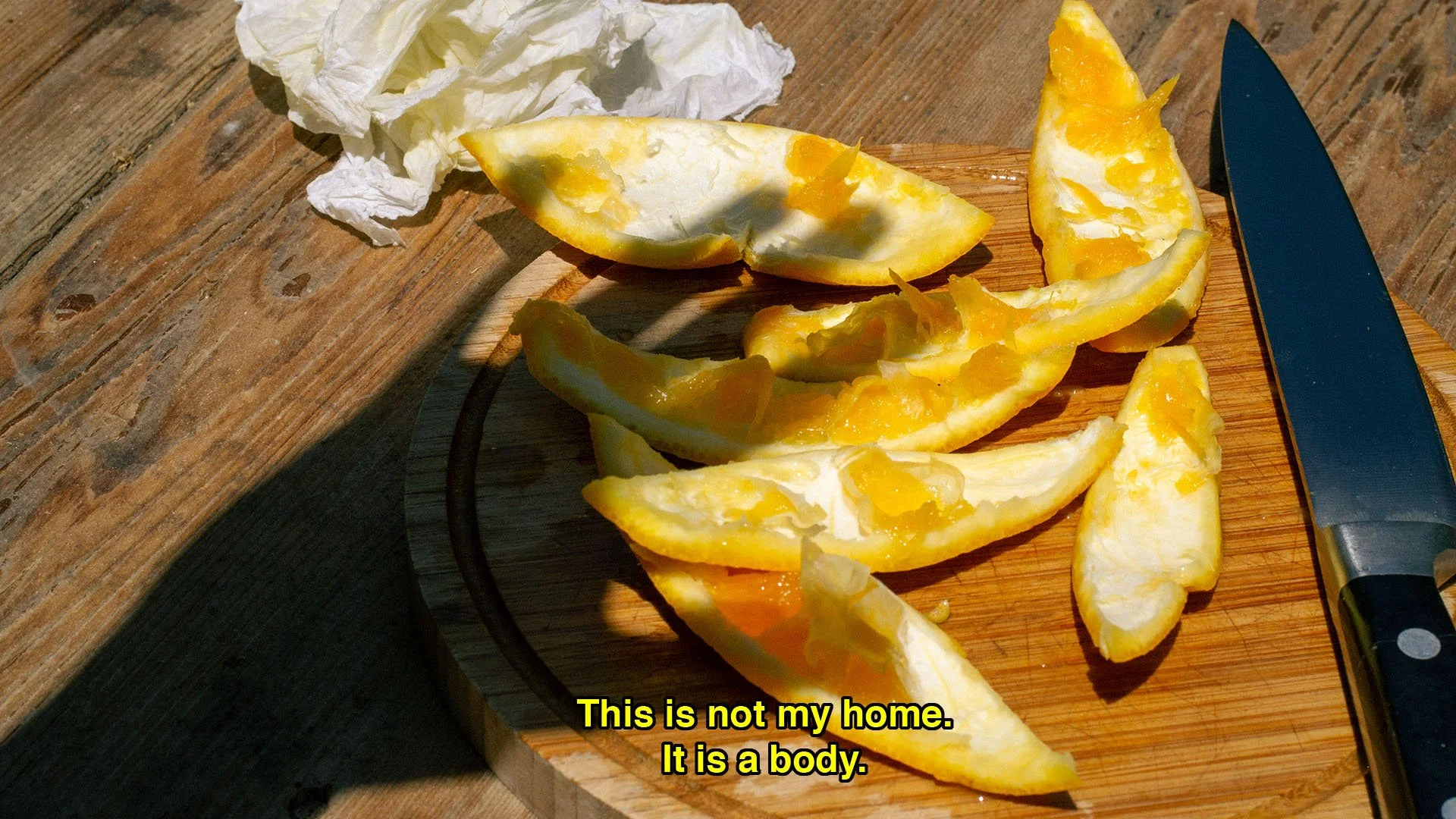 This Is Not My Home.jpg
