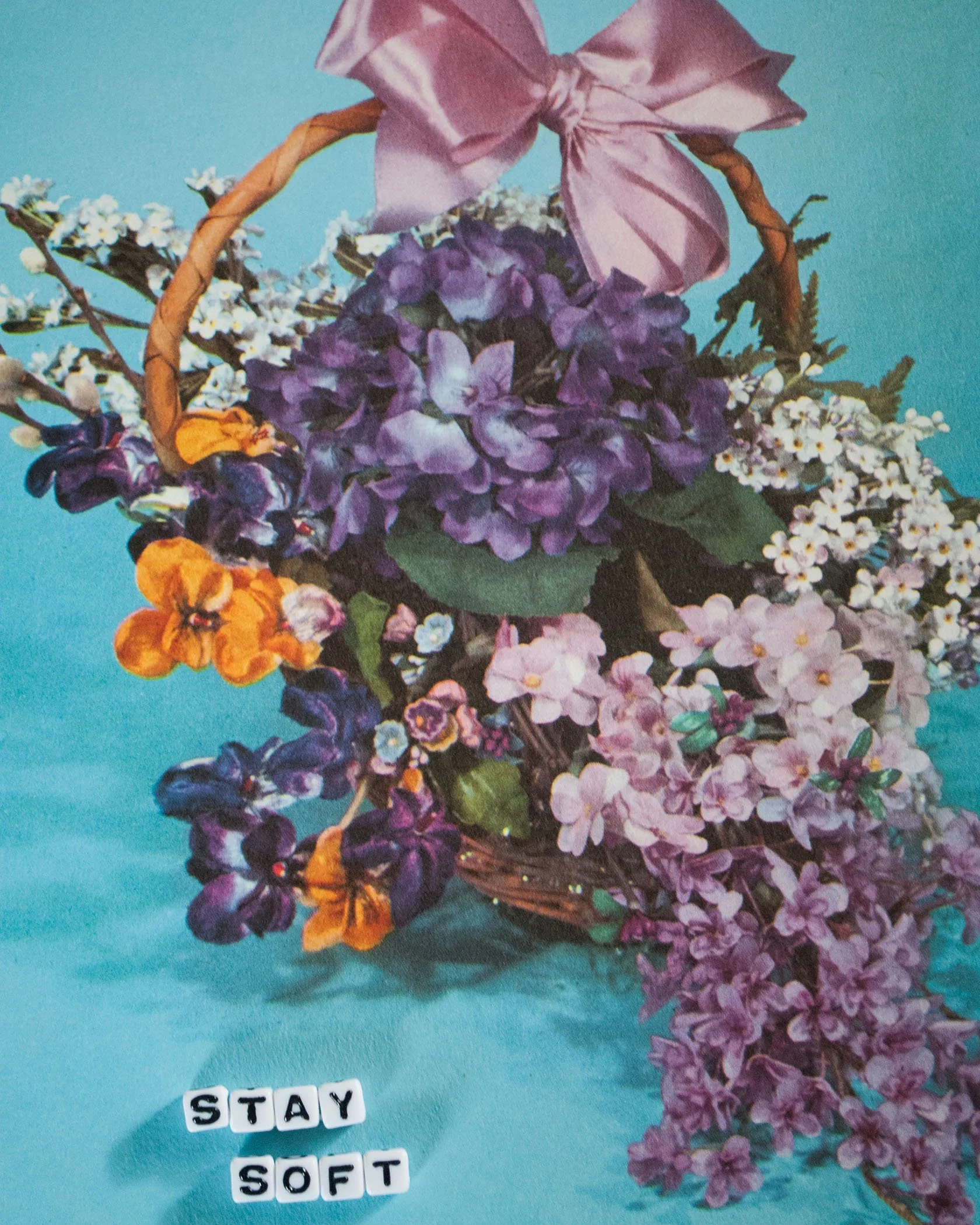 staysoft-5x7.jpg