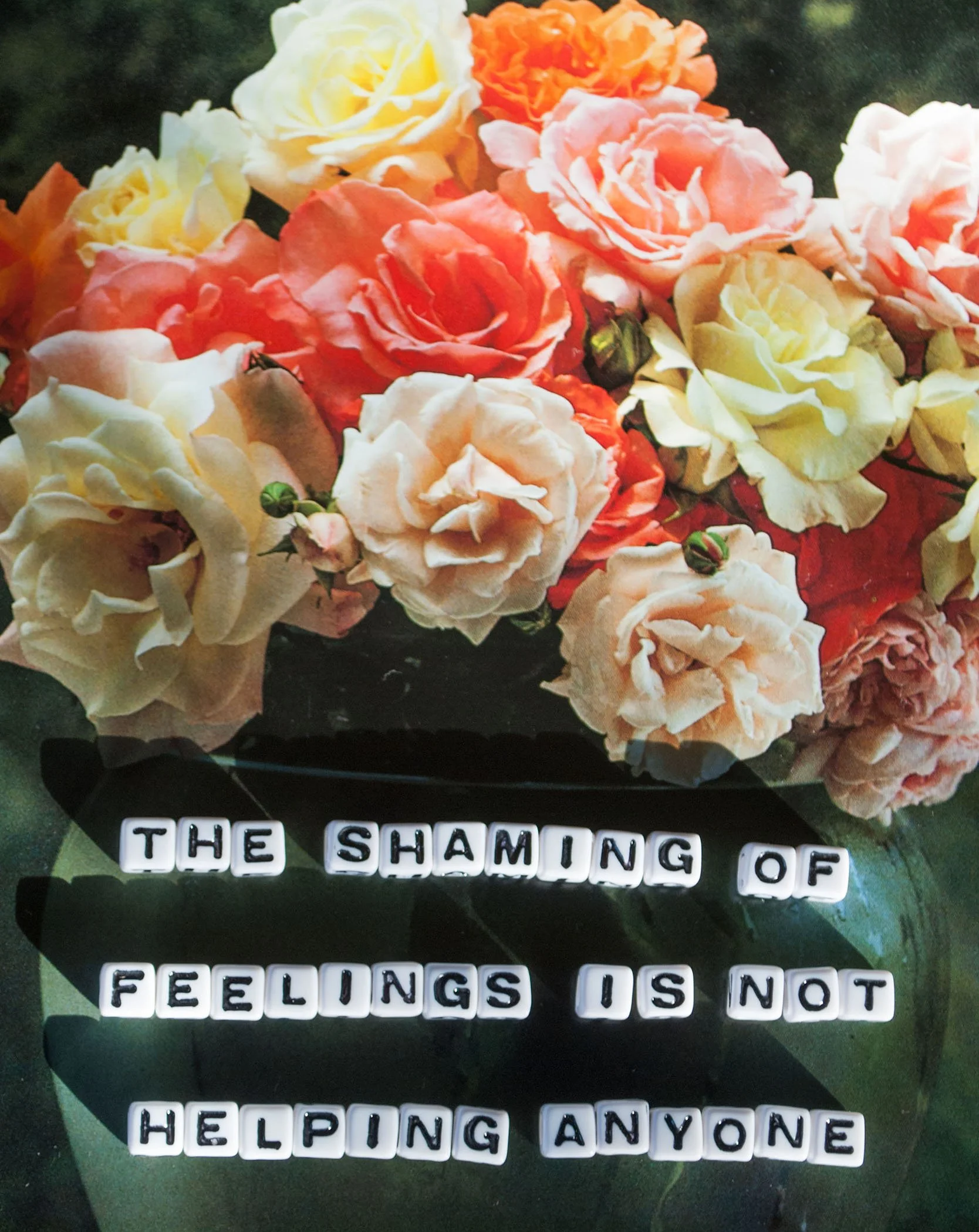 theshamingof-5x7.jpg