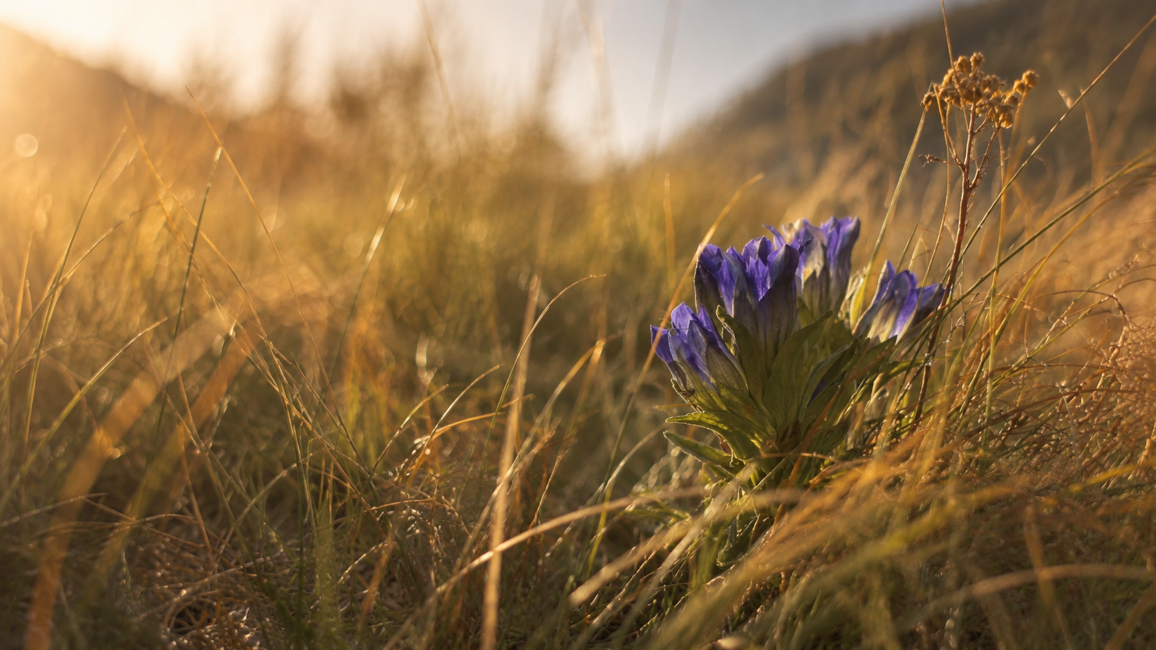 The Cost of the Open Heart