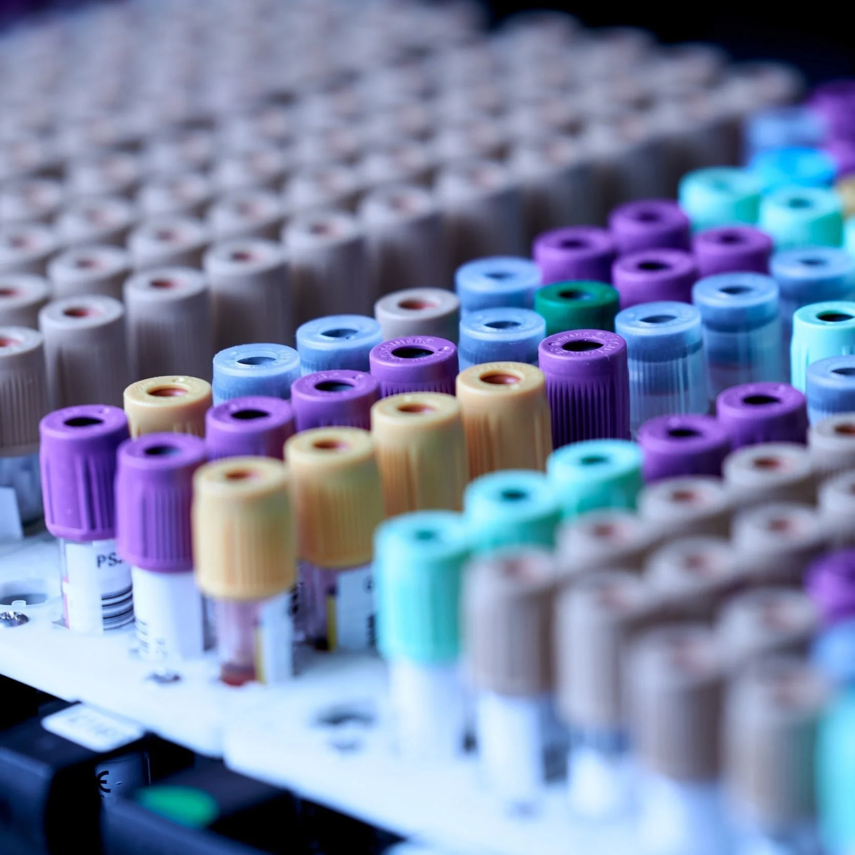 Evaluating AI Solutions for Drug Discovery