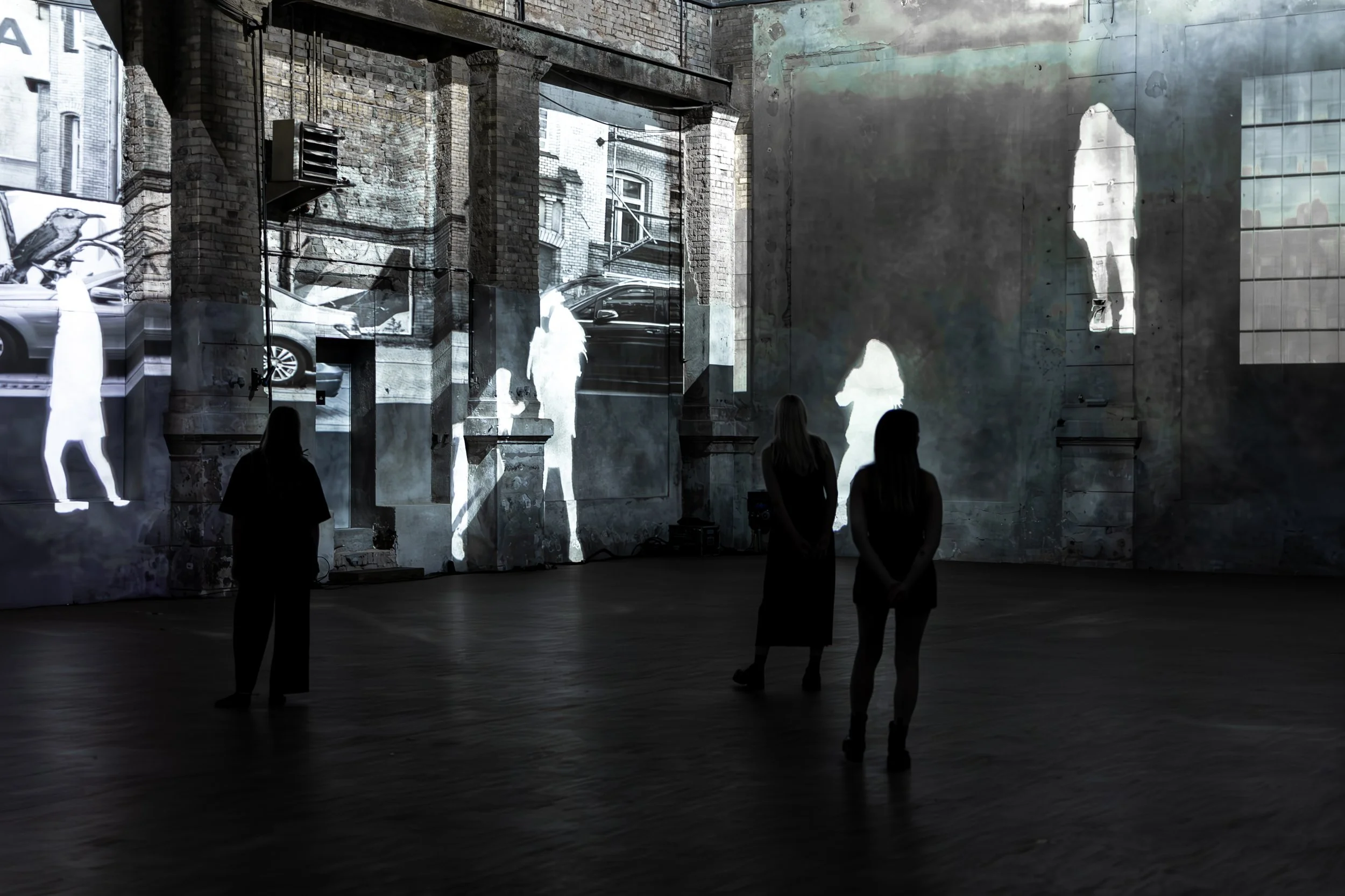 Drei Menschen stehen in einem dunklen Raum vor einer Wand, die Projektionen von Stadtbildern und weißen Tieren zeigt, vermutlich Katzen oder ähnliches, auf. Die Projektionen sind hell und kontrastreich, die Menschen sind silhouetteartig sichtbar.