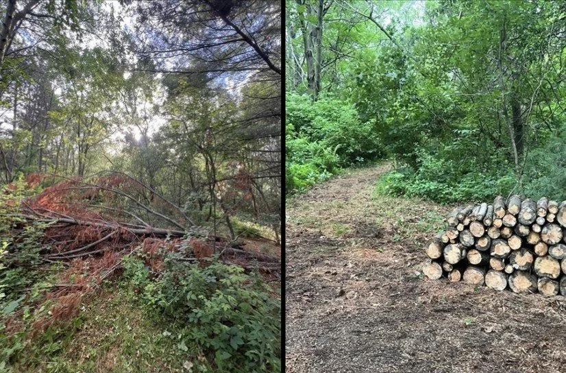 STORM DAMAGE CLEANUP