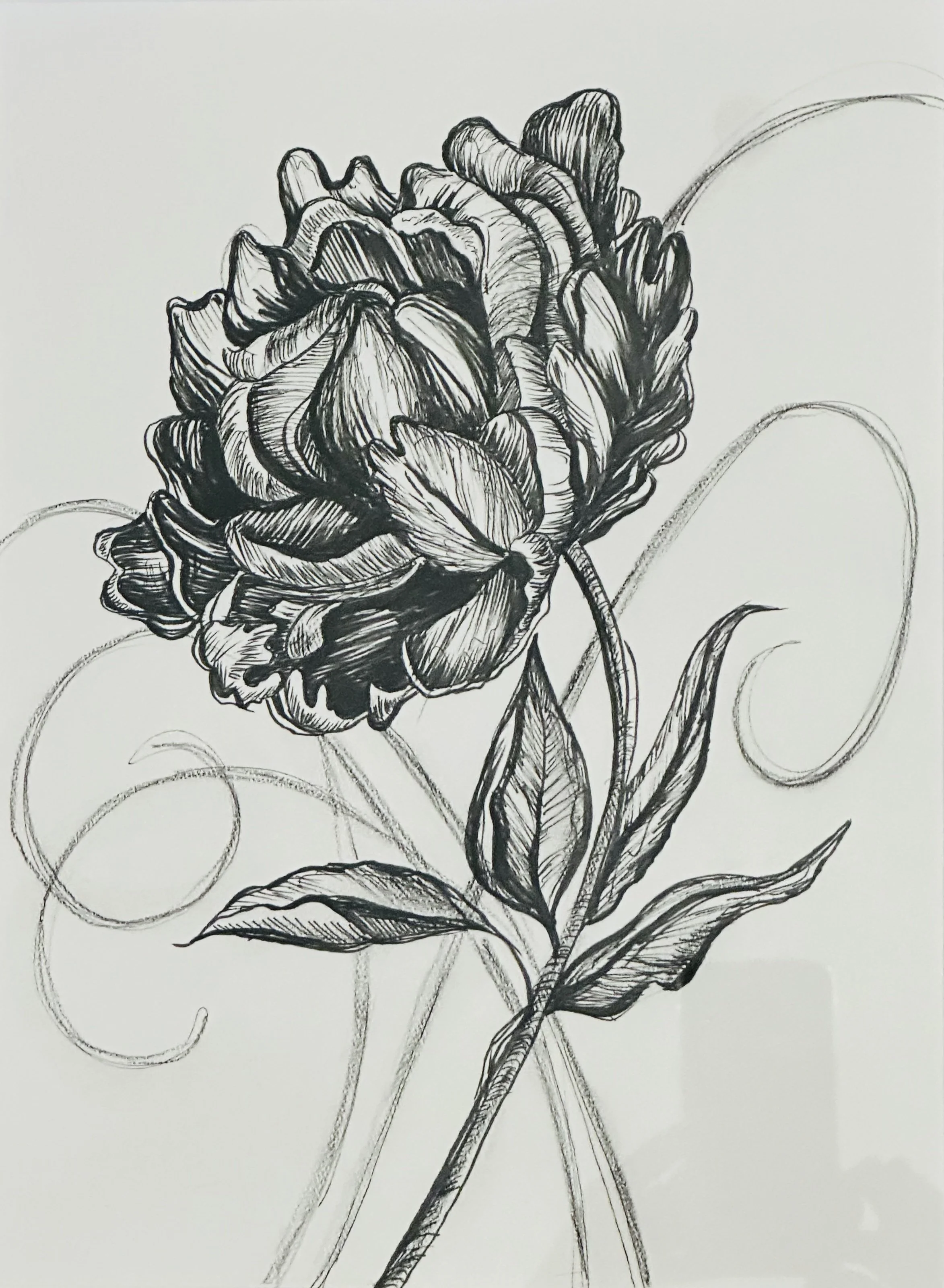 Flower Drawing.jpg