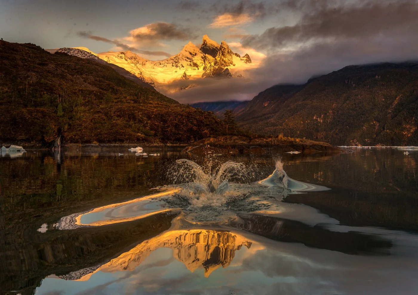 Patagonia Fjord, Chile