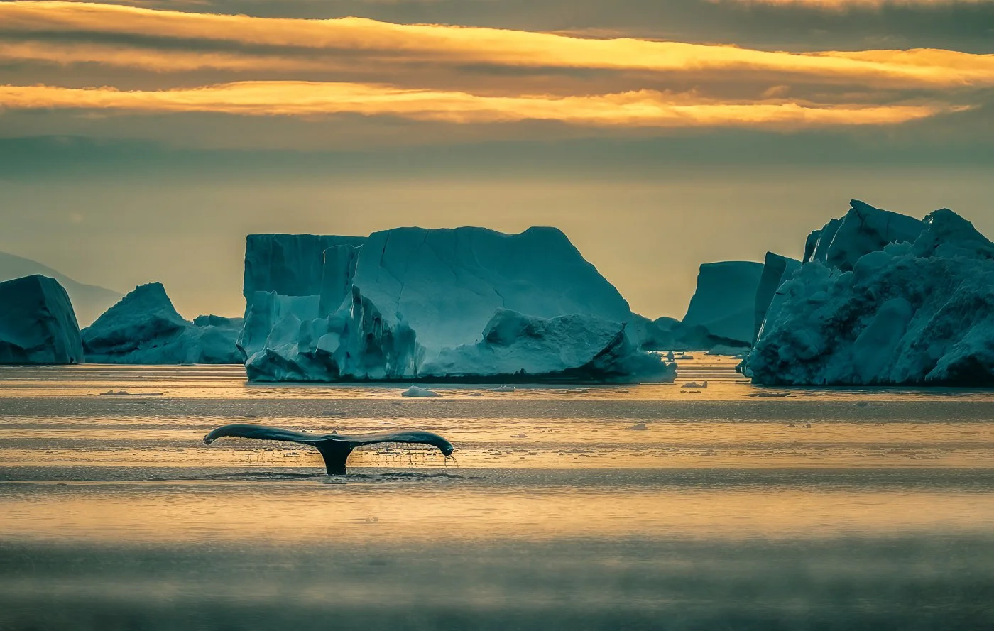 Greenland, 2023