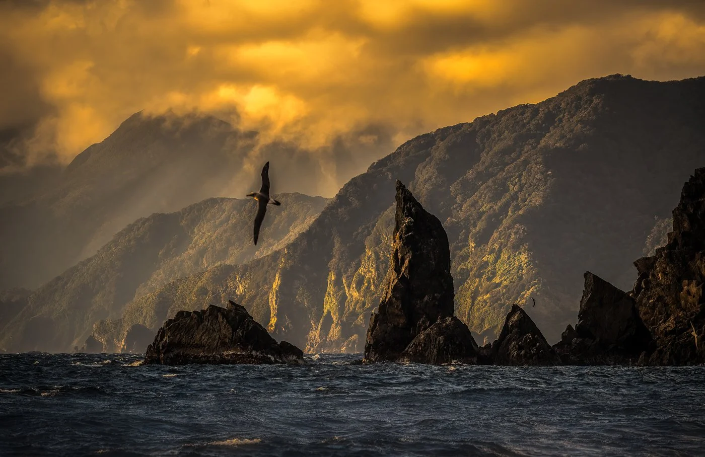 Fiordland, New Zealand, 2025
