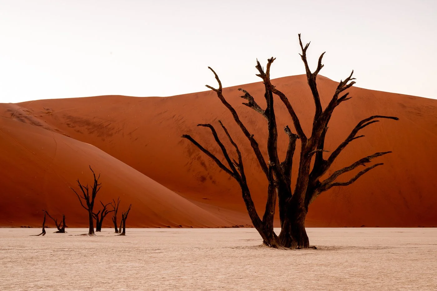 Namibia, 2024