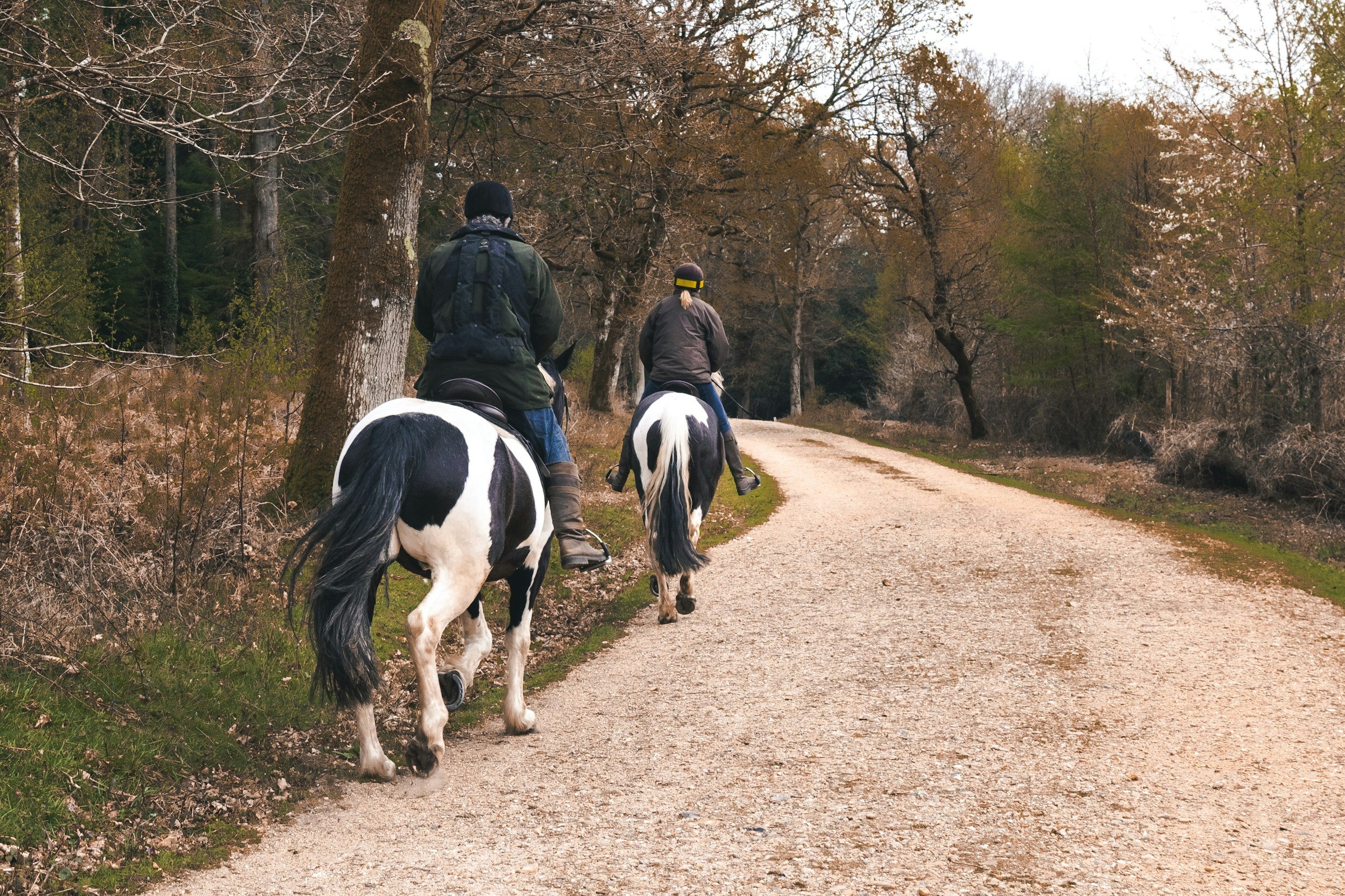 Two people riding horses on a dirt trail through a wooded area with trees and fallen leaves.
