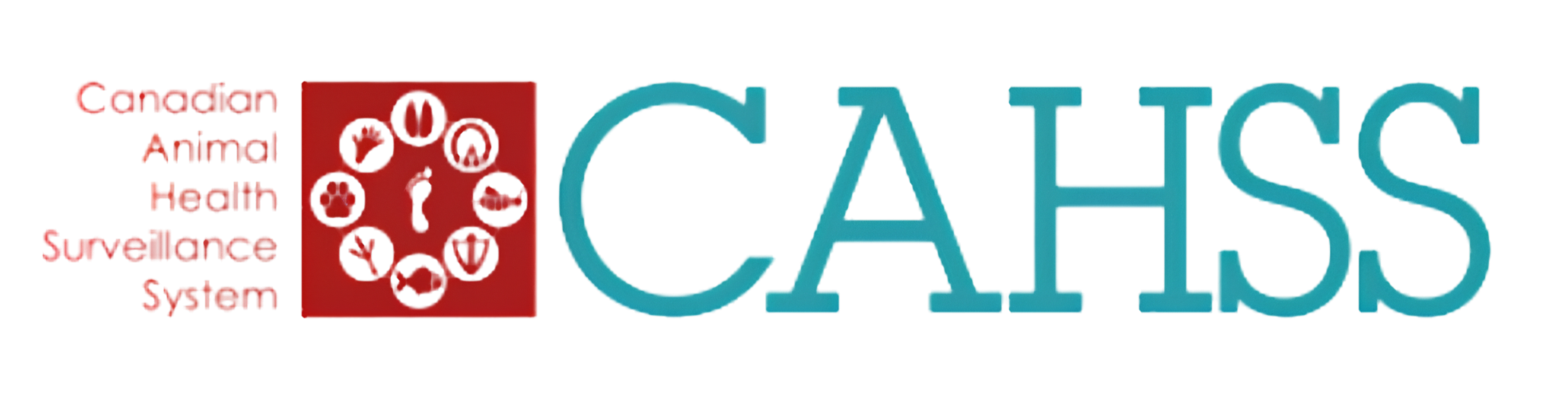Logo for the Catch Surveillance System with red and blue text and icons representing security and surveillance.