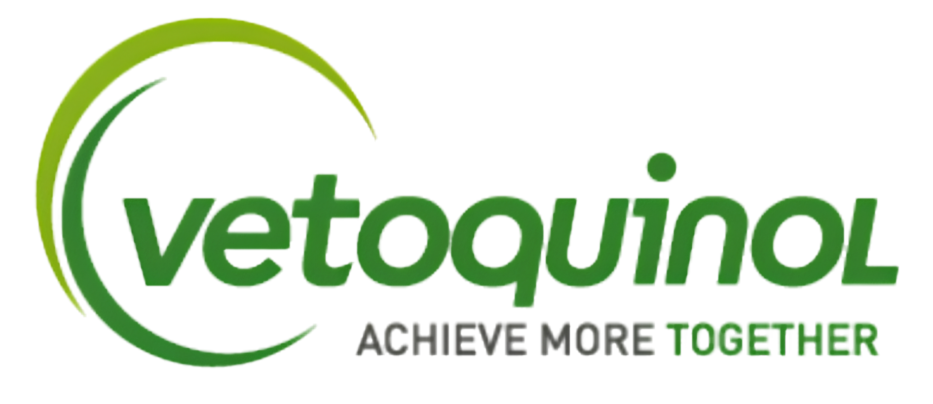 Logo for Vetor In, featuring stylized text in green with a tagline 'Achieve More Together' and circular graphic elements.