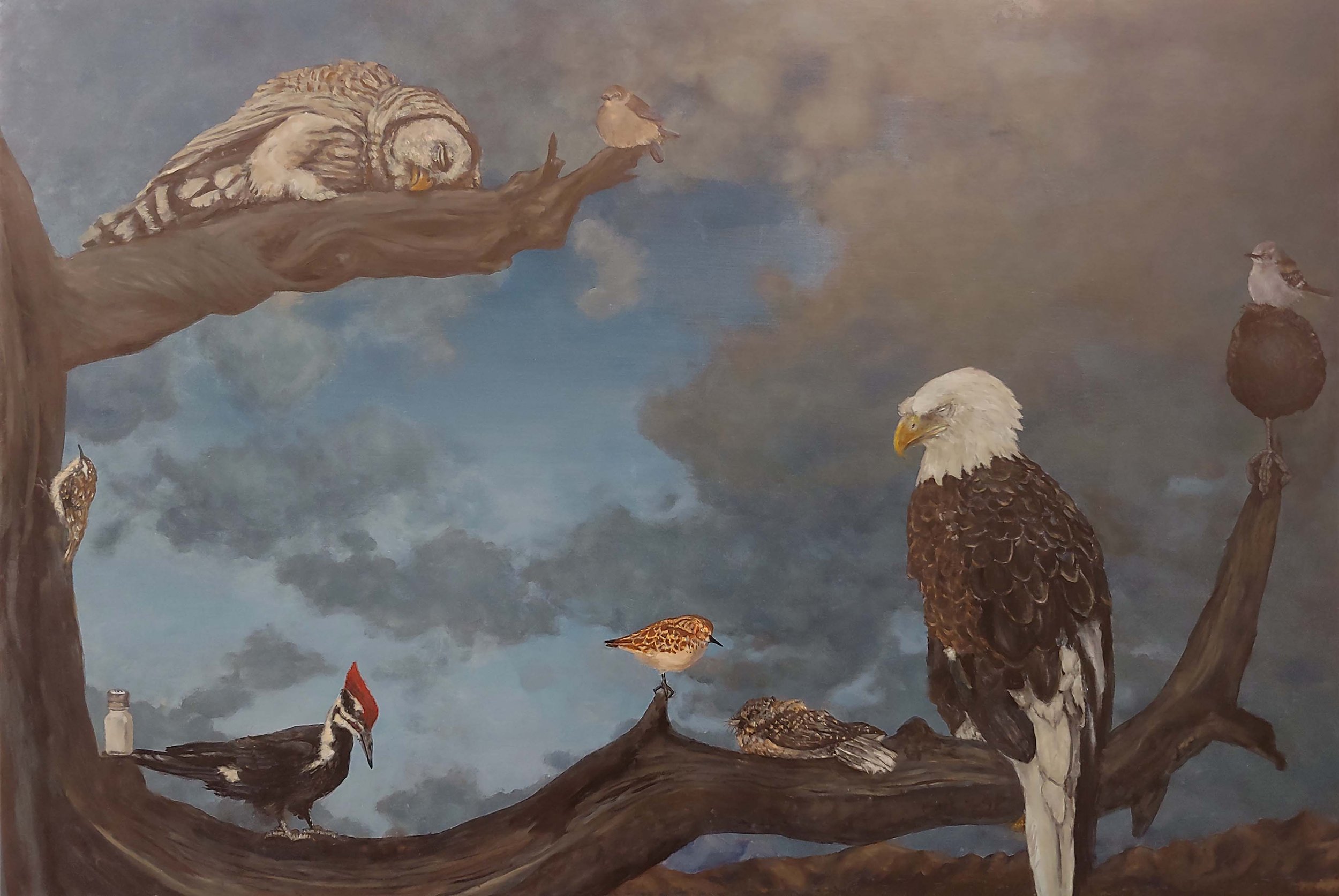  Concert of Birds State Song Snore