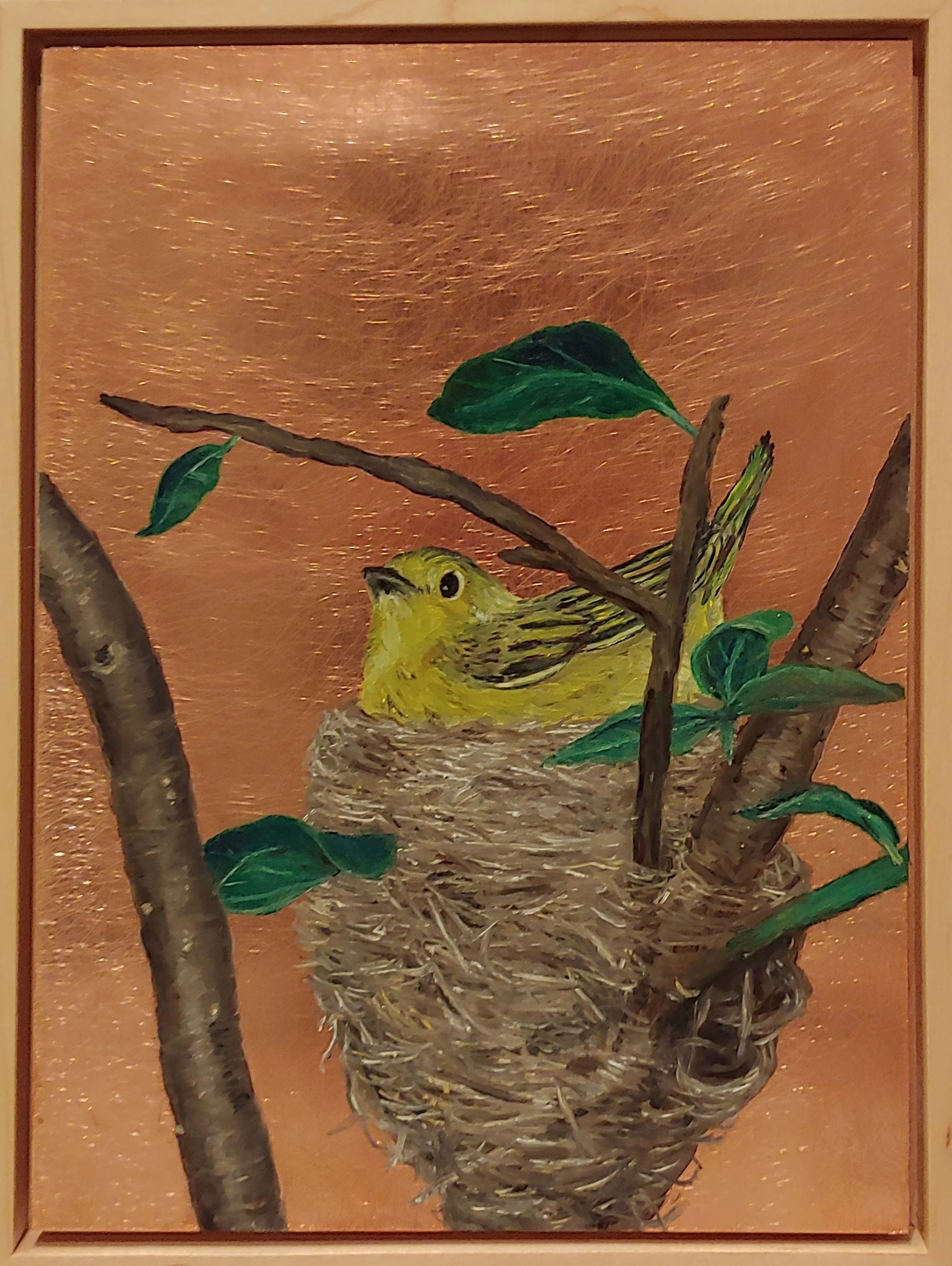 Yellow Warbler at Nest