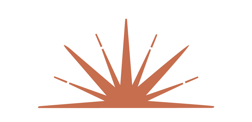 Sunburst design from the root and rise consulting logo for dr amanda townsend