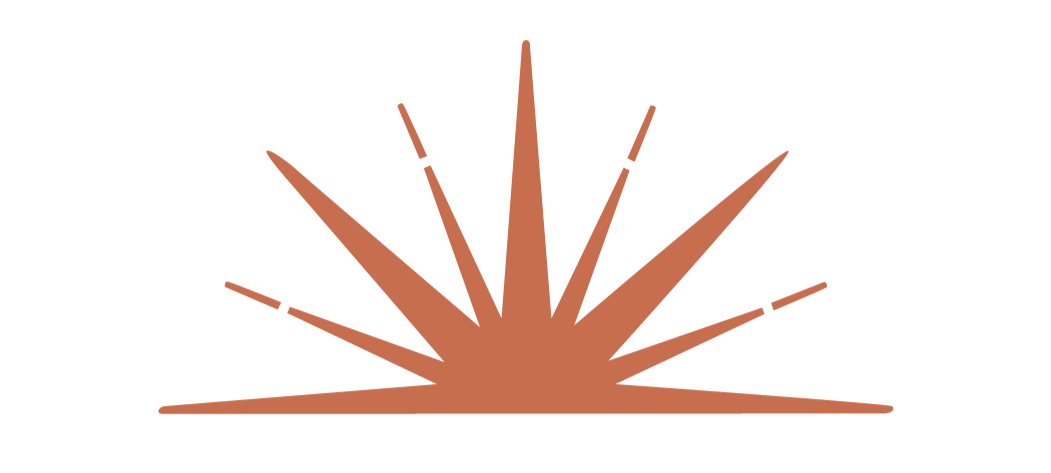 Sunburst design from the root and rise consulting logo for dr amanda townsend