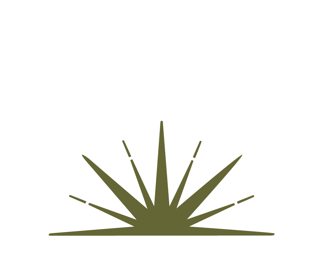 the sunburst of the Root and Rise Consulting logo