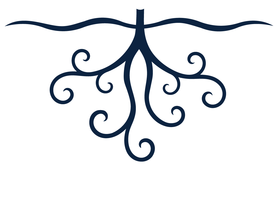 the roots of the Root and Rise Consulting logo