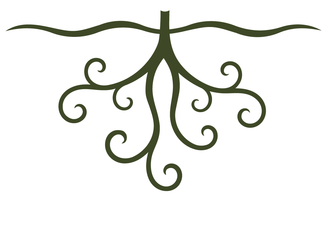 the roots of the Root and Rise Consulting logo
