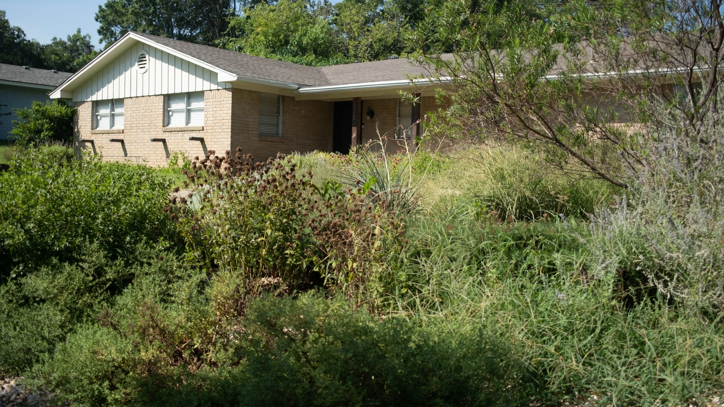 A house with beige brick walls and a gray roof, surrounded by overgrown vegetation and bushes in a yard.