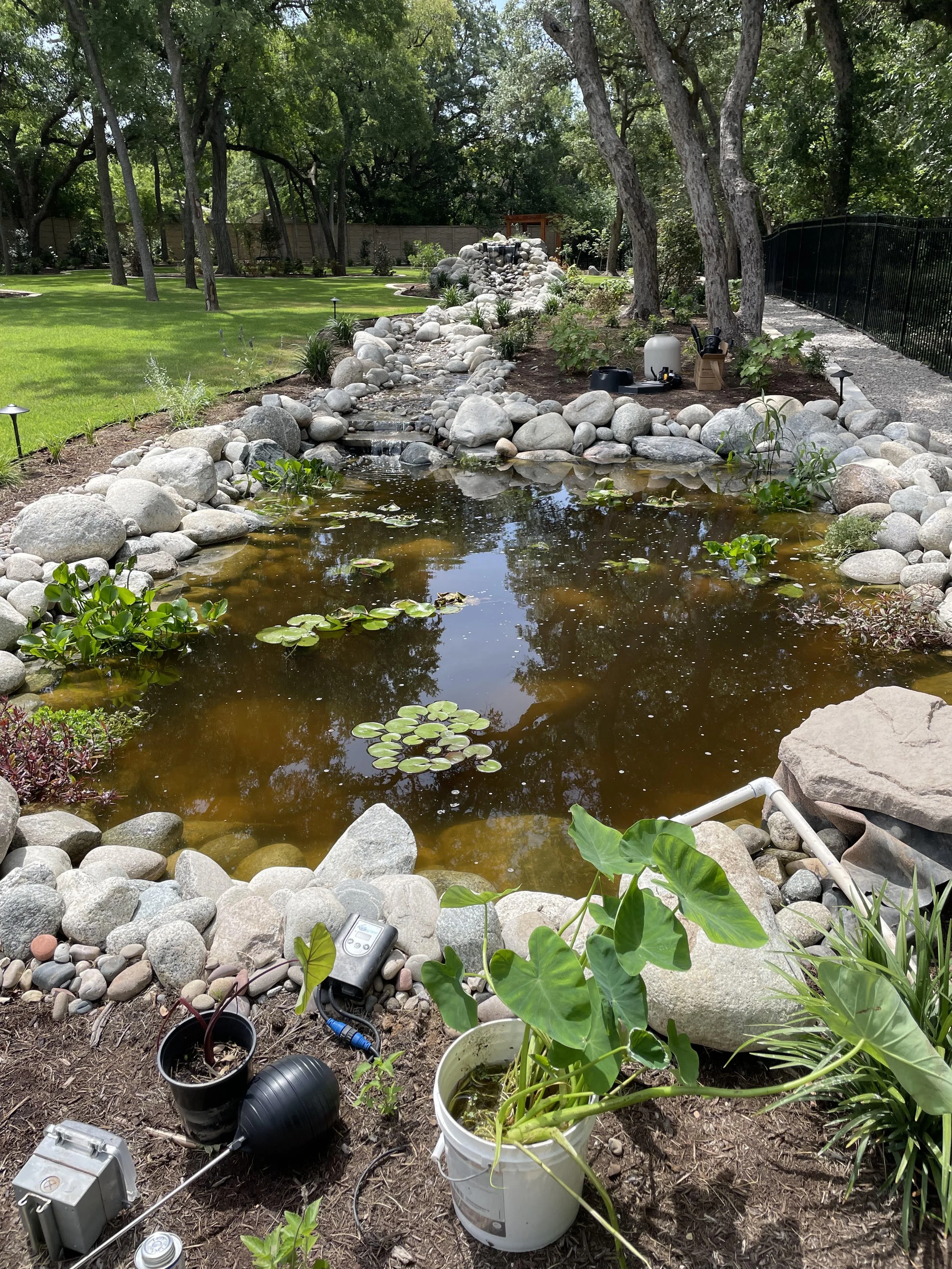 A backyard with a small pond surrounded by rocks, with tools and supplies nearby, including a black device, a white bucket with plants, and other gardening tools, with trees and a grassy lawn in the background.