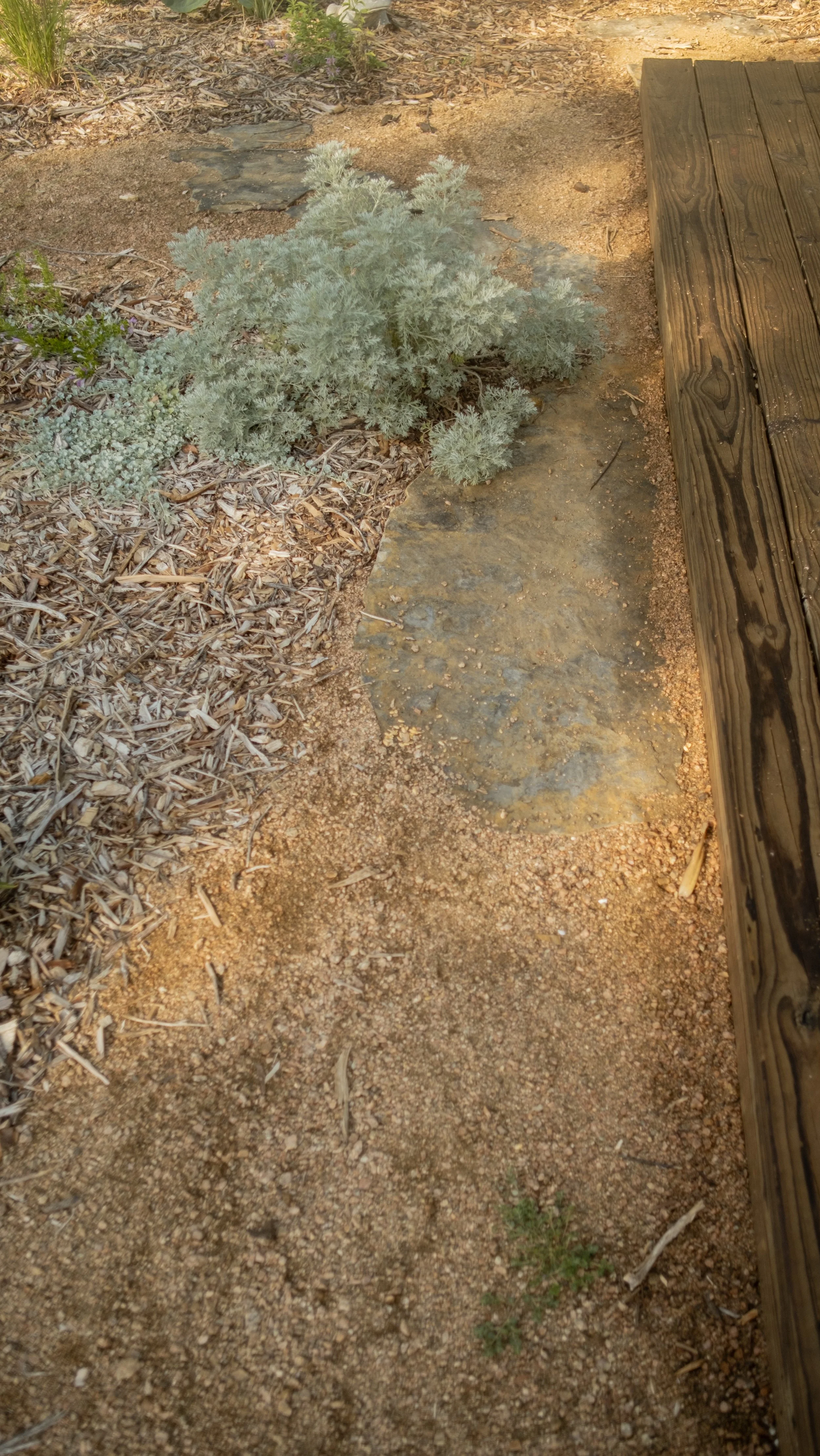 A garden pathway made of soil and stones, bordered by a wooden deck on the right side and plants with mulch on the left side.